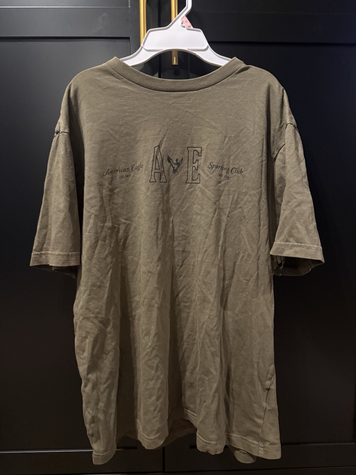 American Eagle Men’s M Crew Neck Short Sleeve Standard Fit Graphic Tee Green