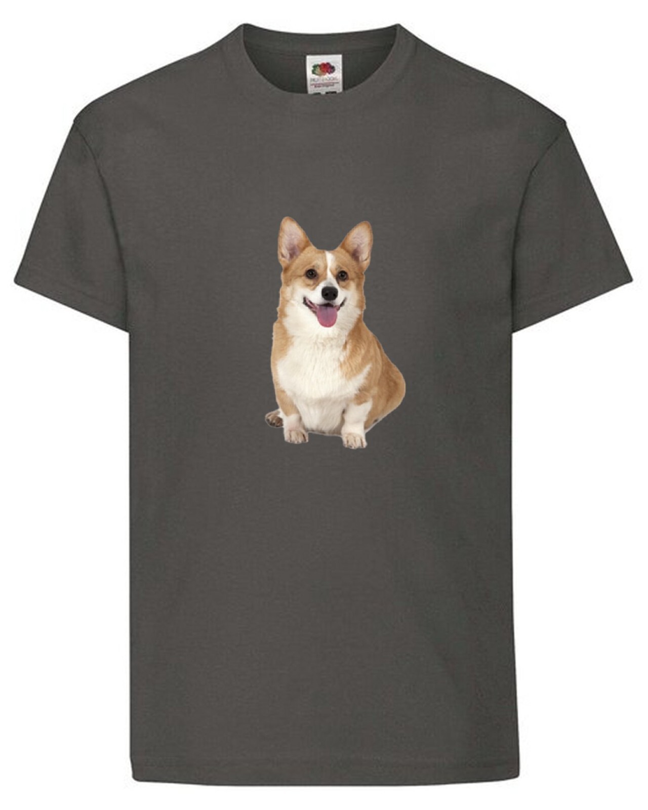 Corgi Dog Pet Family Novelty T Shirt Various Colours And Sizes