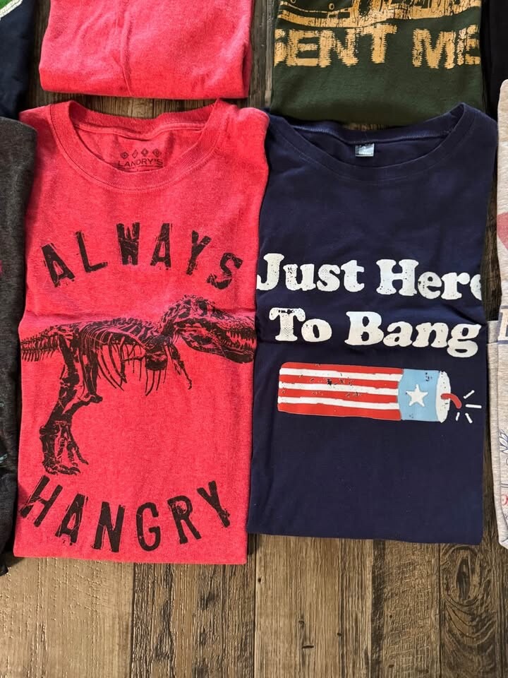 Lot of 12 Men’s Large T-Shirts
