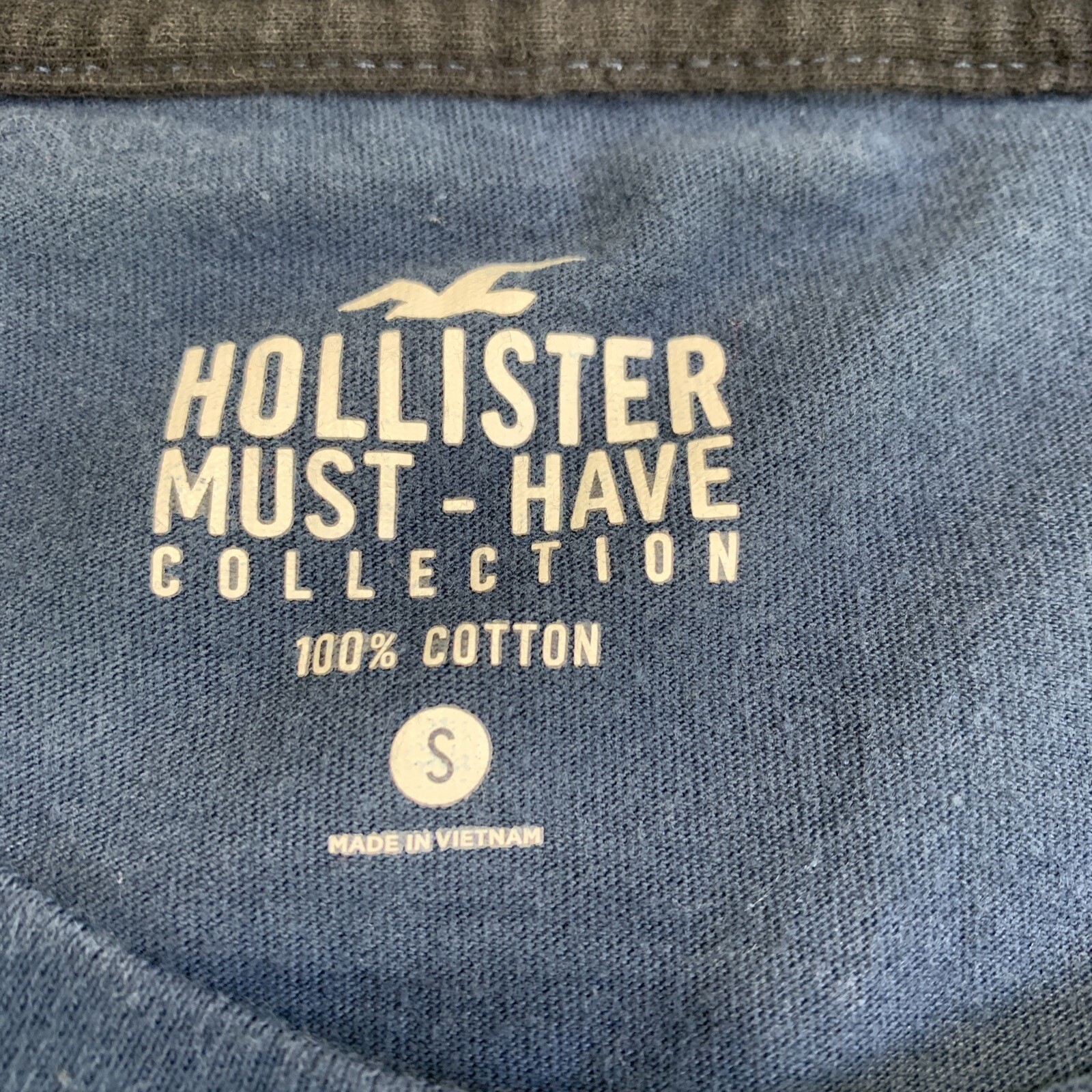 Hollister T Shirt Mens Small Blue Must Have Collection Logo 100% Cotton