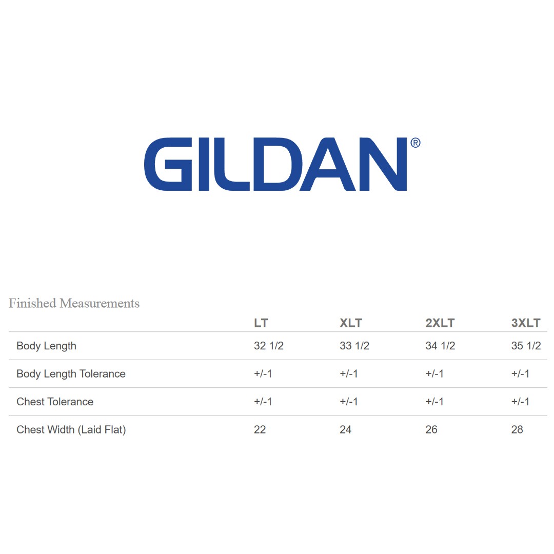 3 Pack Of Gildan G200T Adult Ultra Cotton Tall T Shirt Stylish T-Shirt