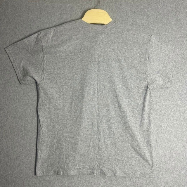 NWT Men’s Gray Celebrity Cruises Panama Canal Graphic T-Shirt Size XL