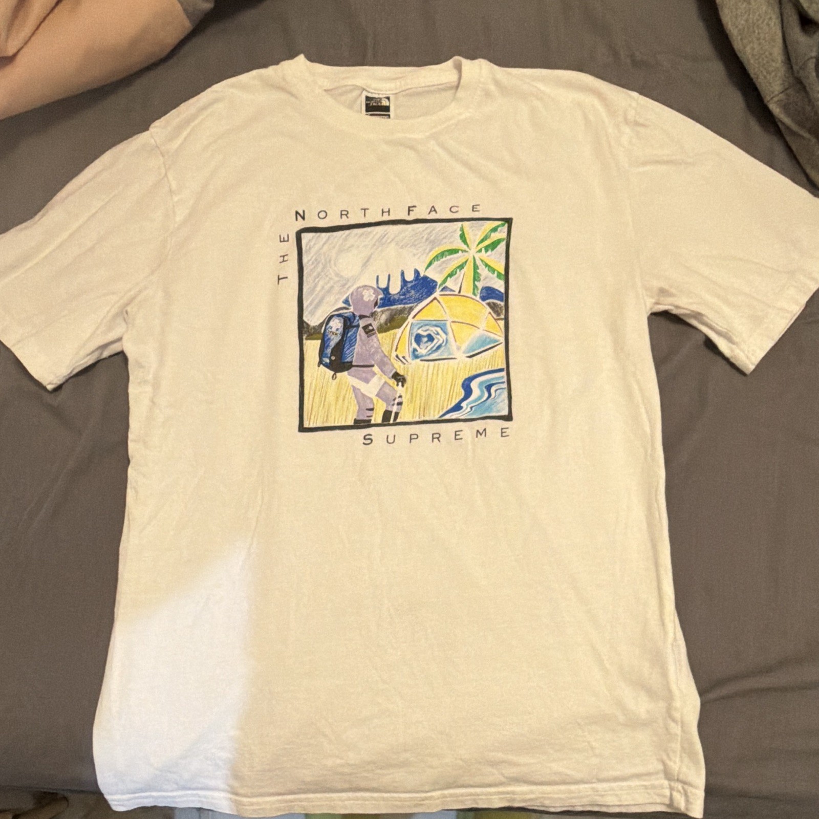 Supreme x The North Face Men’s White Graphic Logo Size S 100% AUTHENTIC