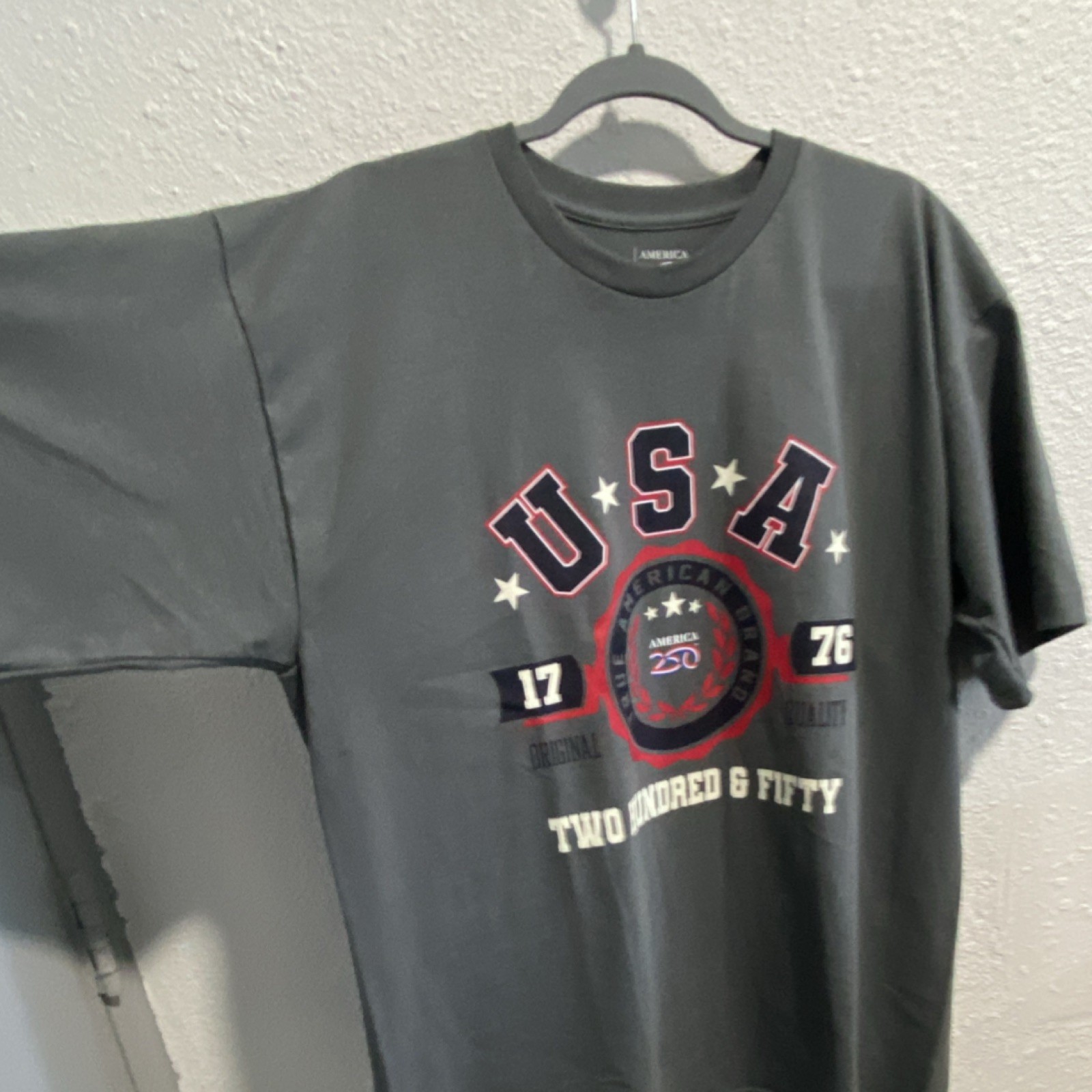 Limited edition !Dickies Men’s America 250 USA Patriotic Graphic Crew Neck