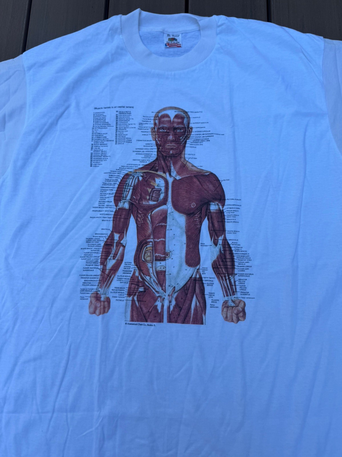Vintage 90s Kurt Cobain Nirvana Anatomical Chart Tee Fruit of Loom Tag Sz XL