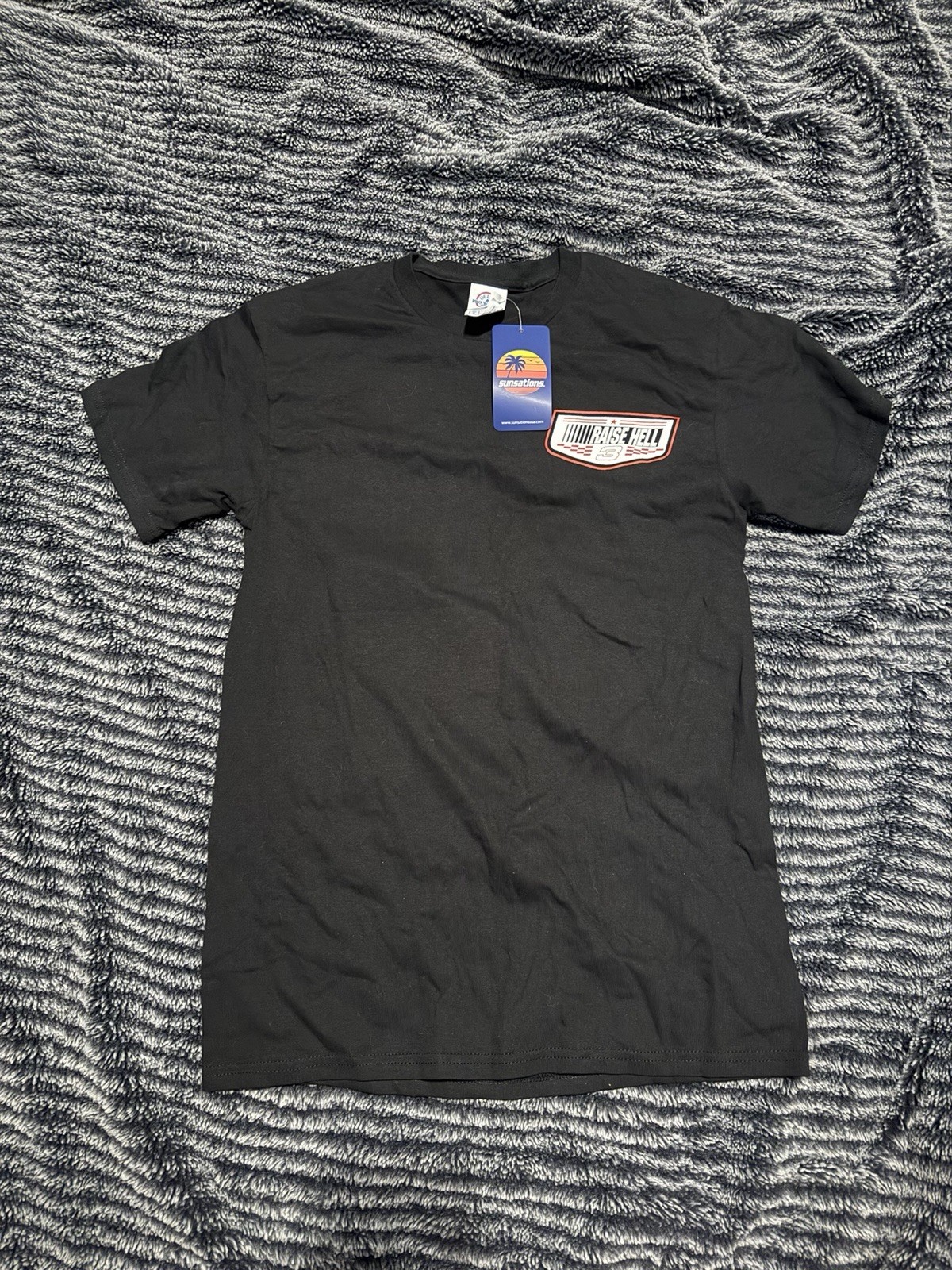 Delta Pro Weight Raise Hell Praise Dale NASCAR Dale Black T-Shirt, Size S
