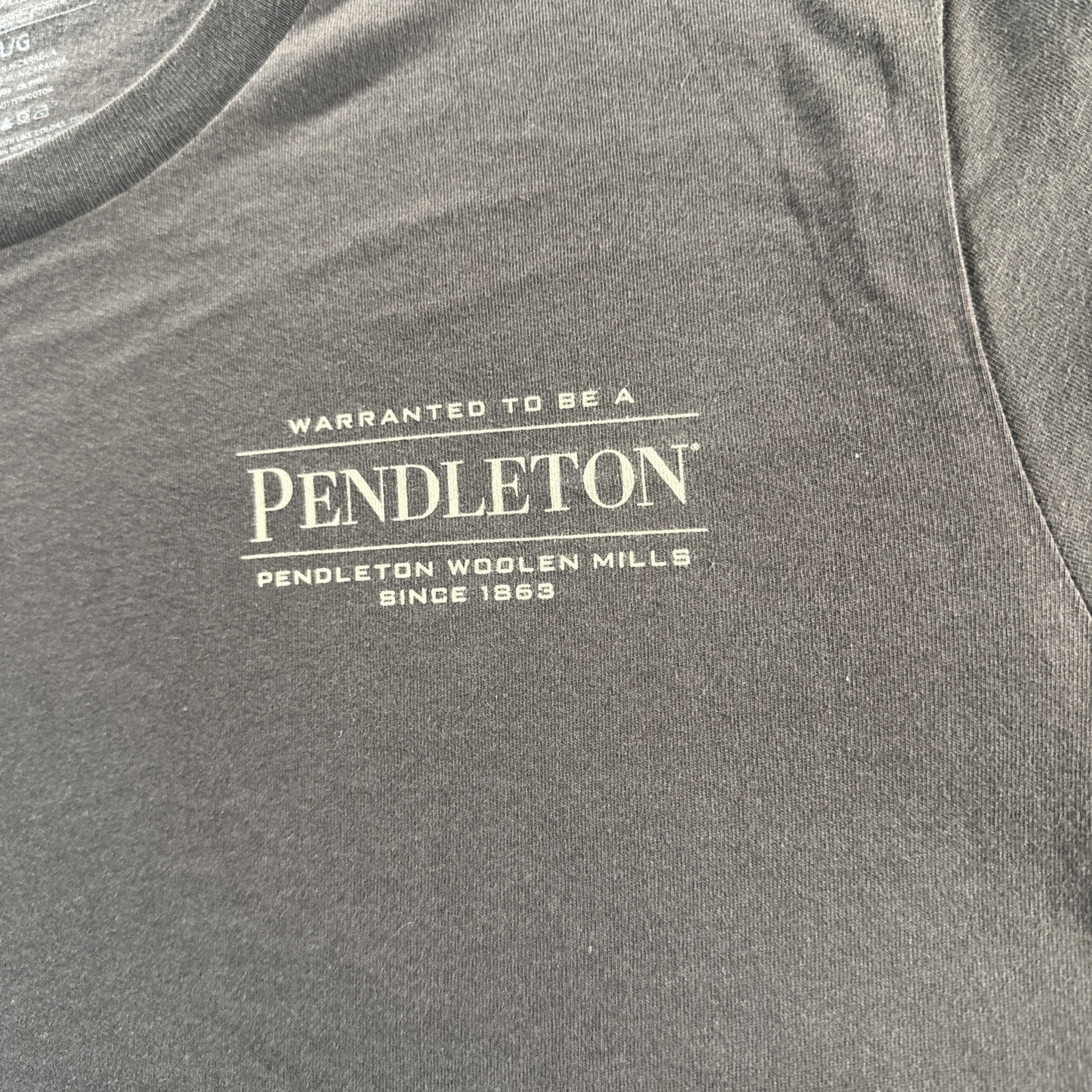 Pendleton Men’s graphic T Shirt Brown Short Sleeve Outdoors Camping LARGE NWOT