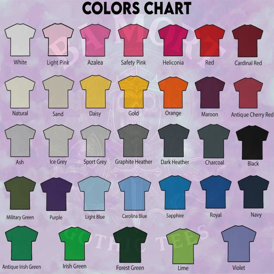 Main Character Energy No Introduction T-Shirt