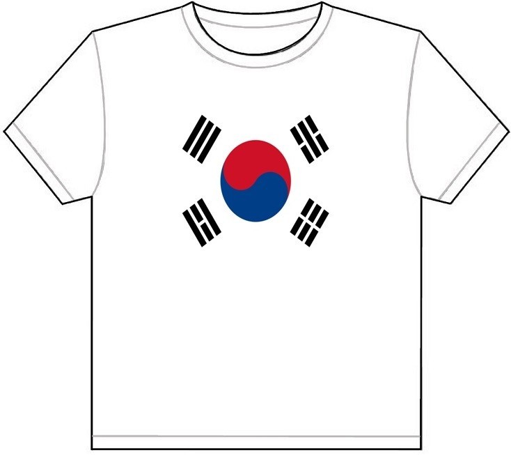SOUTH KOREA COUNTRY FLAG T-SHIRT TEE PICTURE PHOTO seoul busan daegu kr 1785