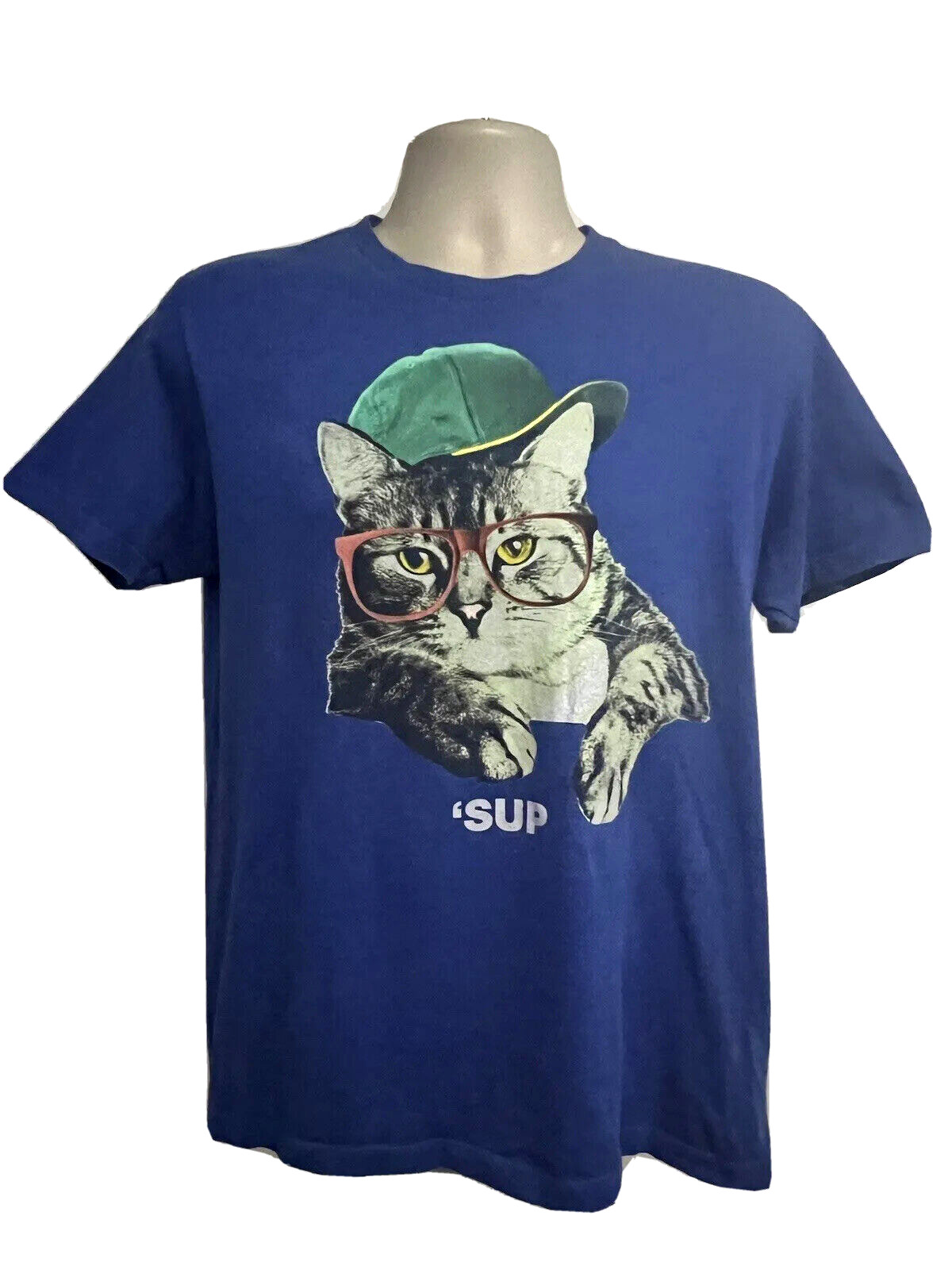 Hip Hop Streetwear Blue Graphic Novelty Cat T-Shirt Small Funny Animal Print