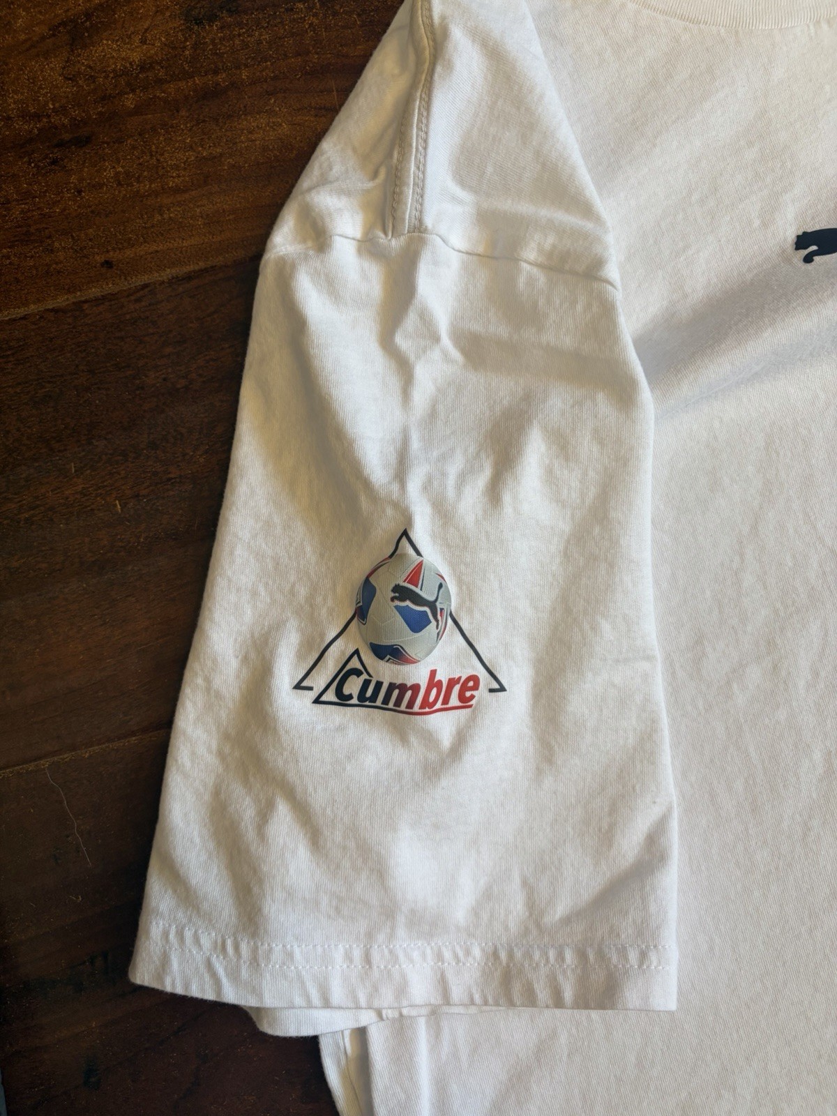 Puma Copa America 2024 ‘Cumbre’ logo tee size XL measurements pictured