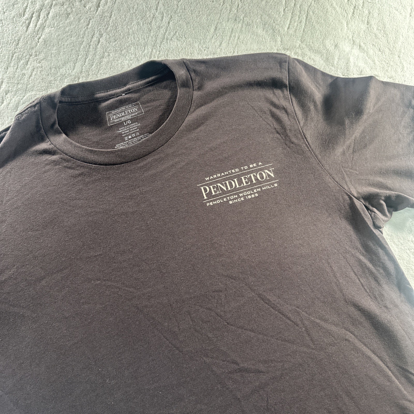 Pendleton Men’s graphic T Shirt Brown Short Sleeve Outdoors Camping LARGE NWOT