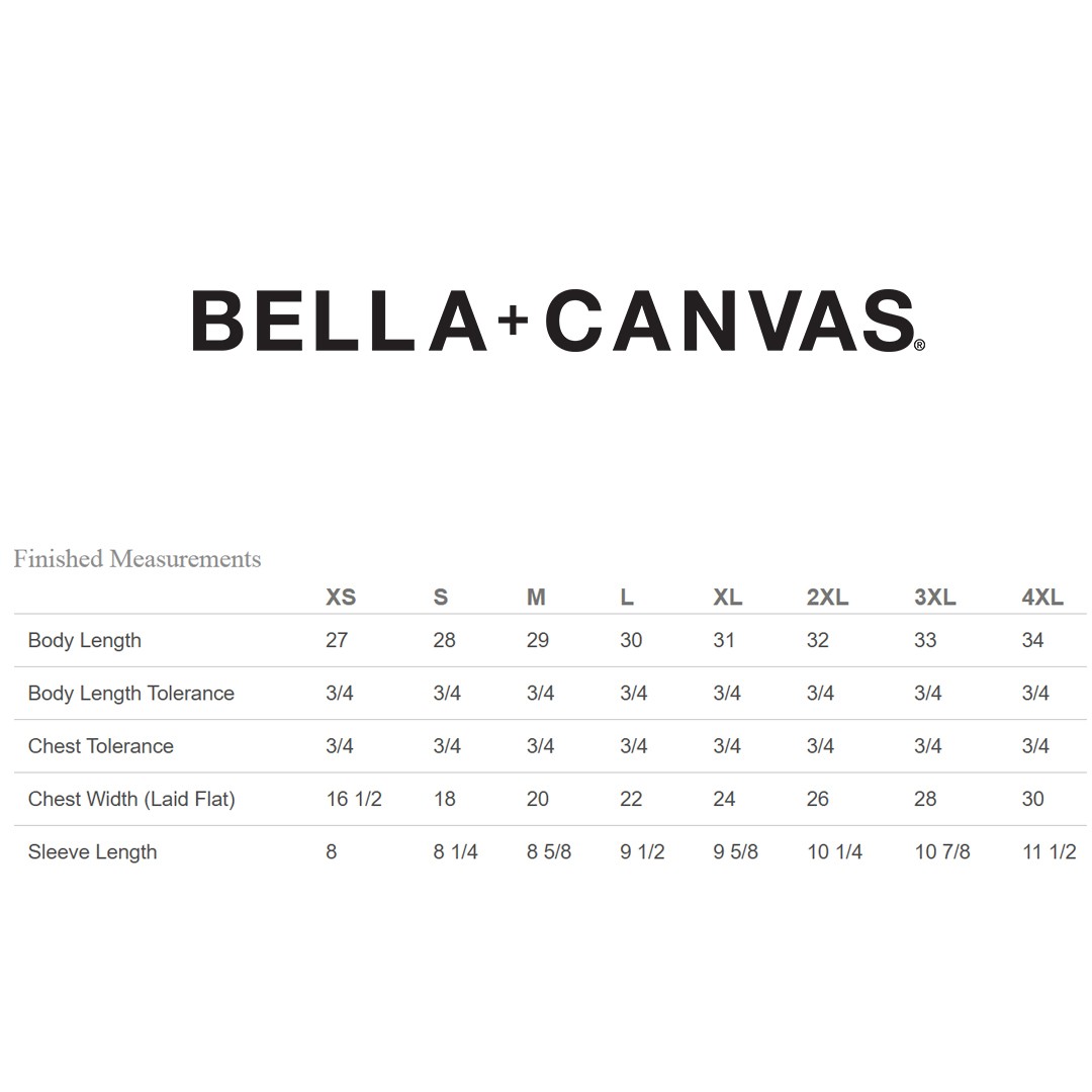 2 Pack Of Bella + Canvas 3413C Unisex Pre-Shrunk TShirt Triblend Stylish T-Shirt