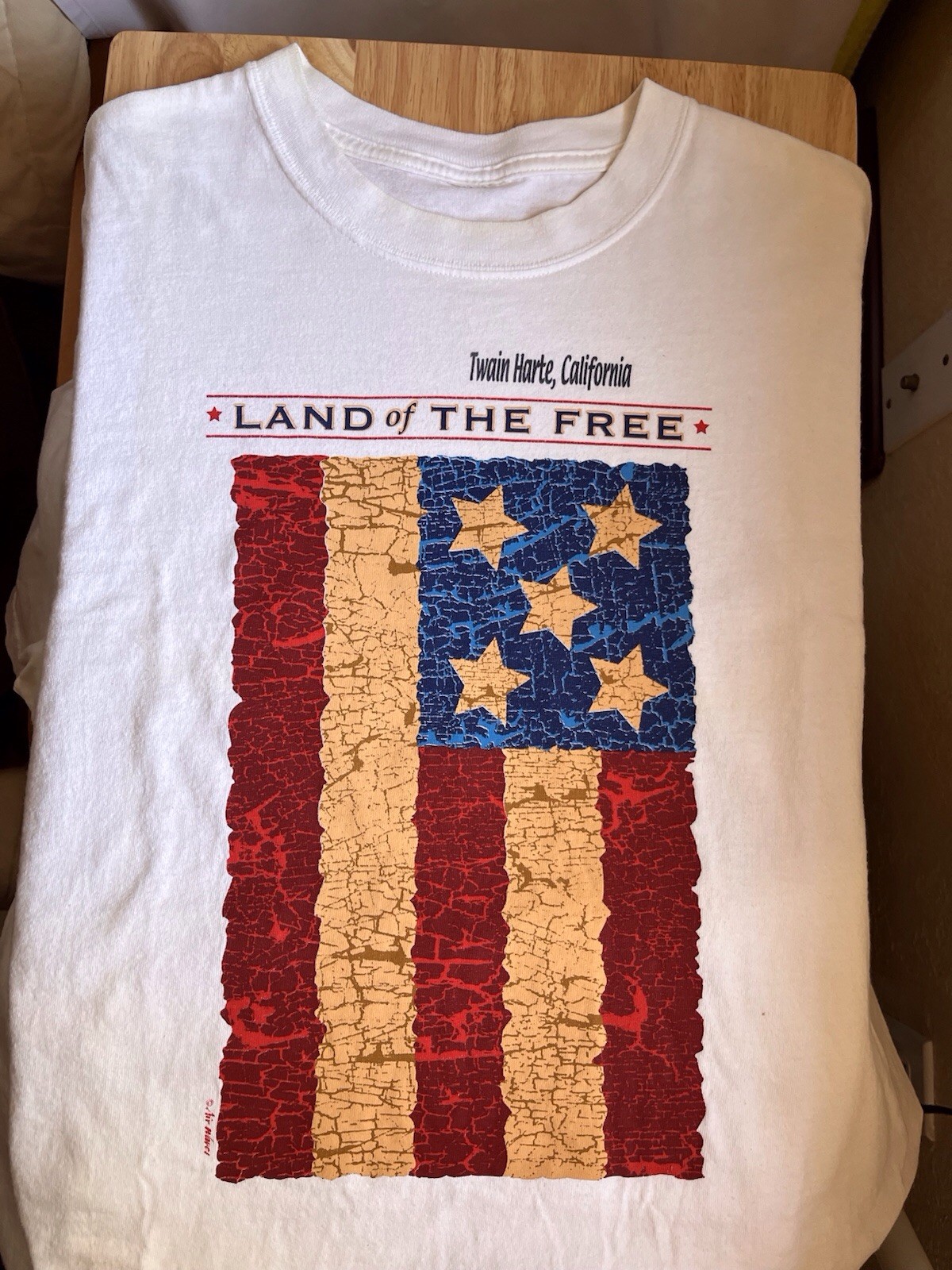 Vintage 9/11 United We Stand Shirt L American Red Cross Twain Harte CA USA Flag