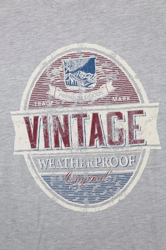 Weatherproof Vintage Men’s Graphic Crew Neck Short Sleeve Tee, Gray, Size M