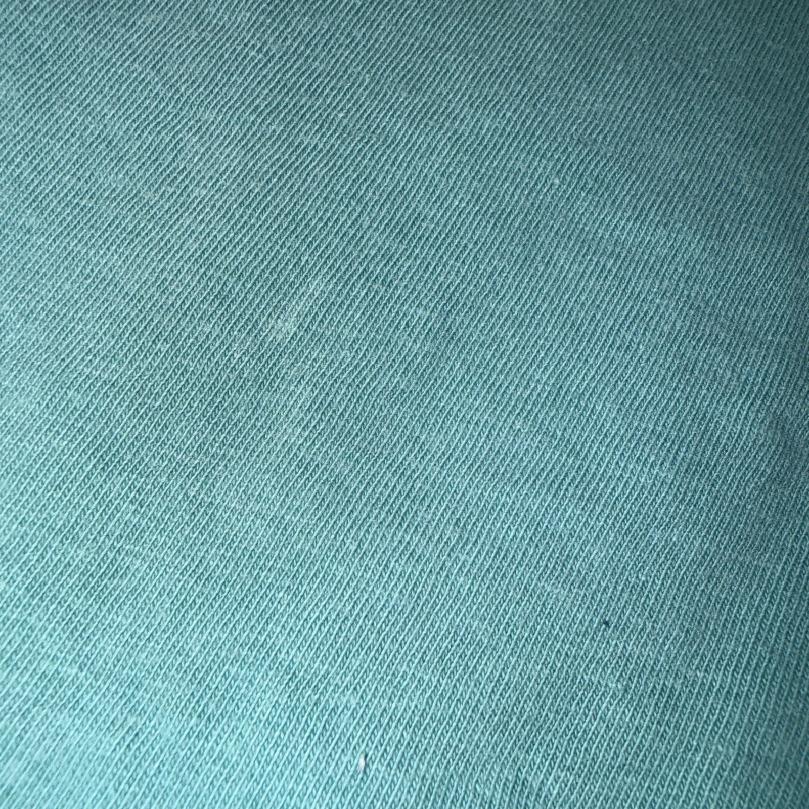 PHINS Apparel Youth Medium Comfort Colors Chalky Mint Green Fishing Fish