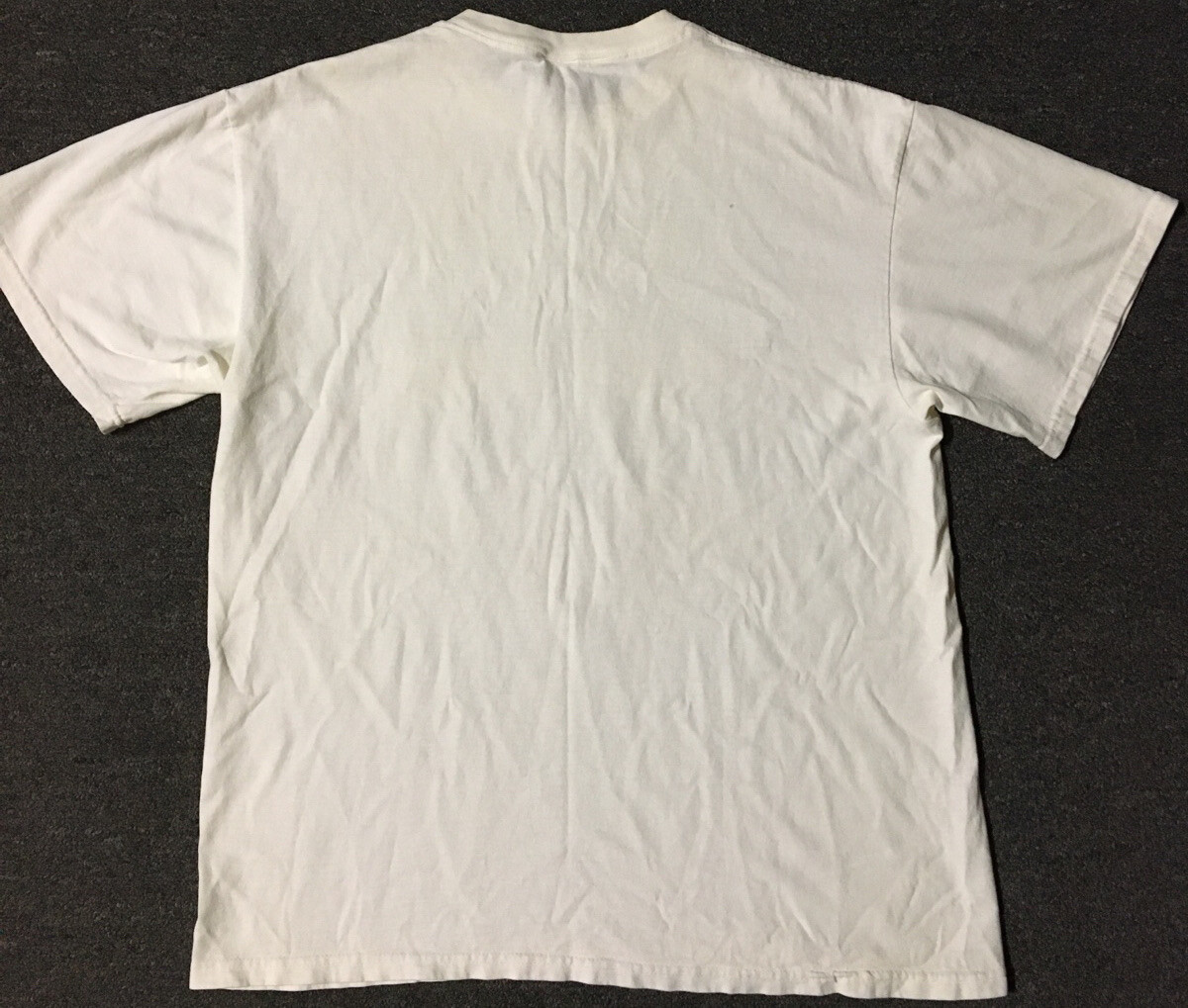 Vtg 90s Im On A 30 Day Diet Ive Lost 15 Days Faded Shirt M Sarcasm Funny Saying
