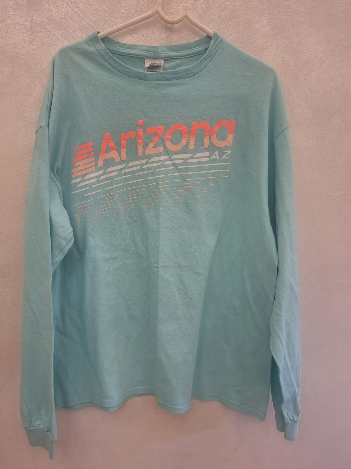 Arizona AZ Graphic T-Shirt Adult Large Aqua Blue Delta Pro Weight Cotton