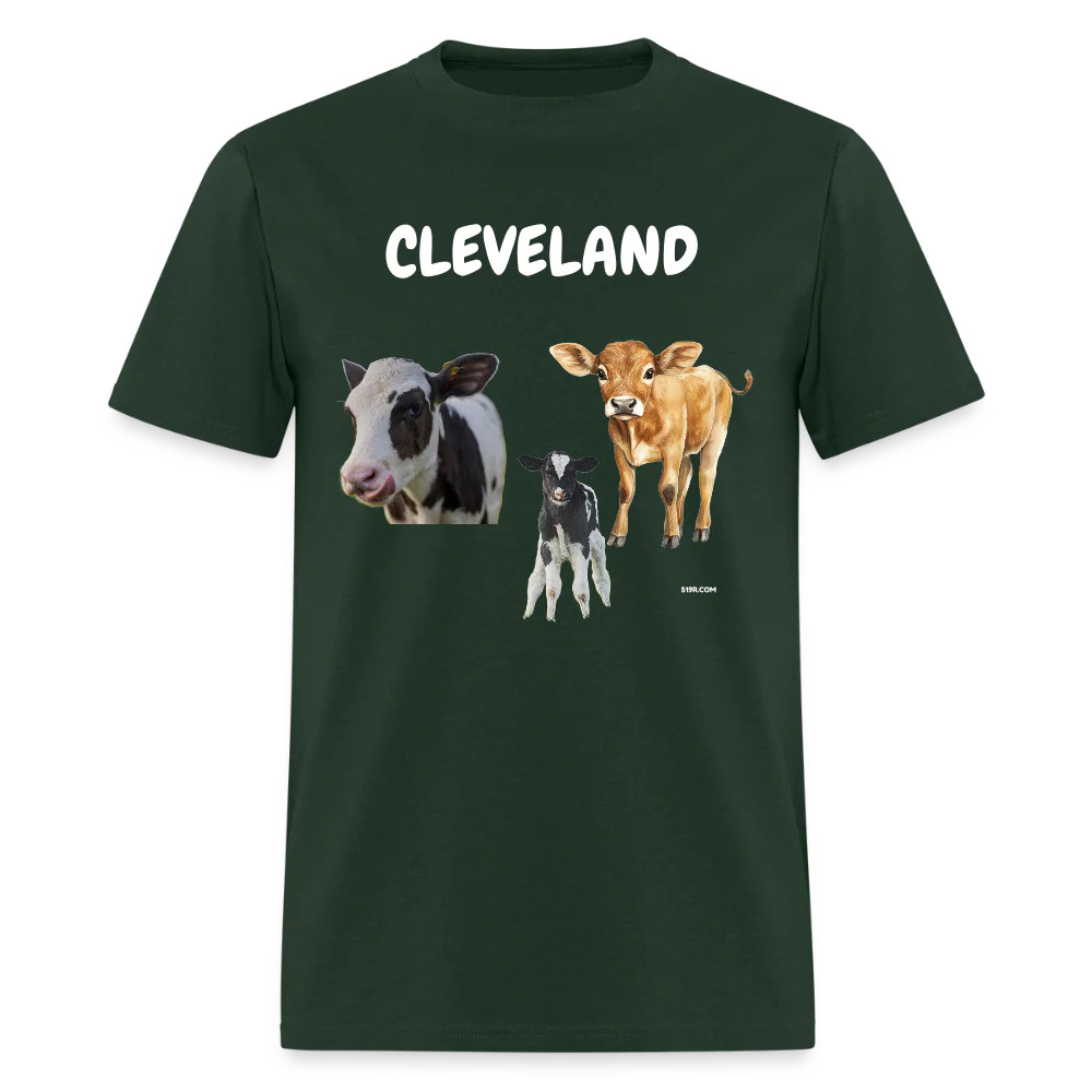 CAVS