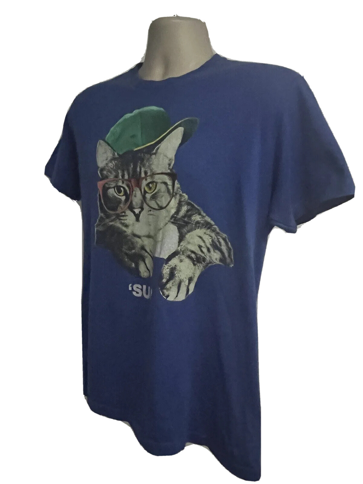 Hip Hop Streetwear Blue Graphic Novelty Cat T-Shirt Small Funny Animal Print
