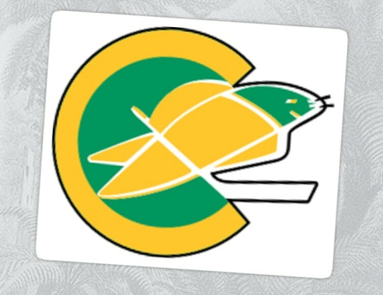 NHL Hockey California Golden Seals Embroidered Adult T- Shirt S-6XL, LT-4XLT New
