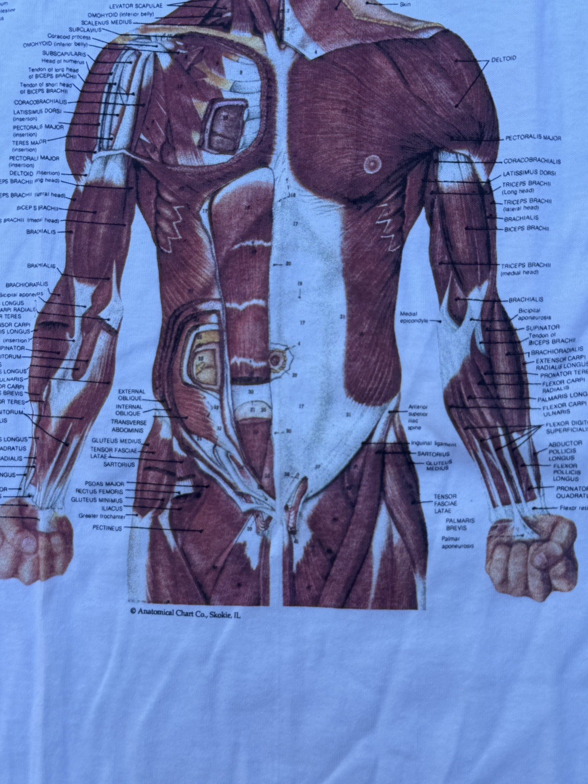 Vintage 90s Kurt Cobain Nirvana Anatomical Chart Tee Fruit of Loom Tag Sz XL