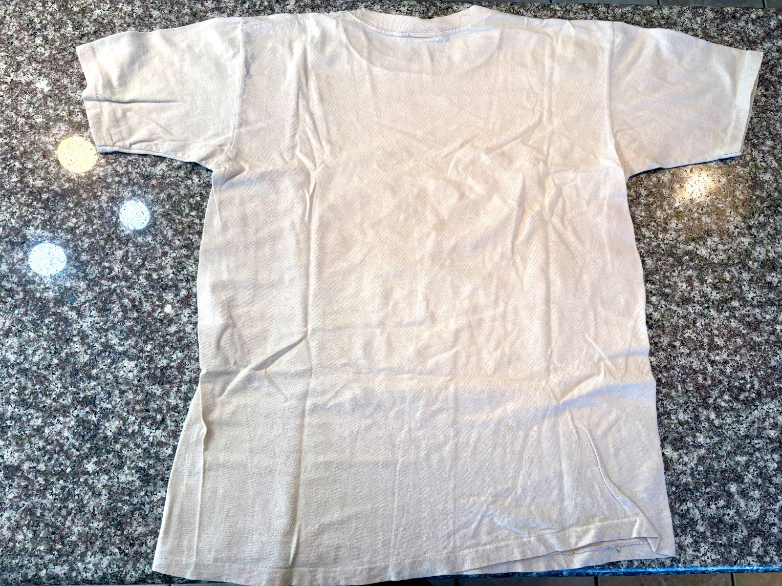 Vintage 1970’s Jackson Browne Non-Nuclear Future Benefit Concert T-Shirt, Large