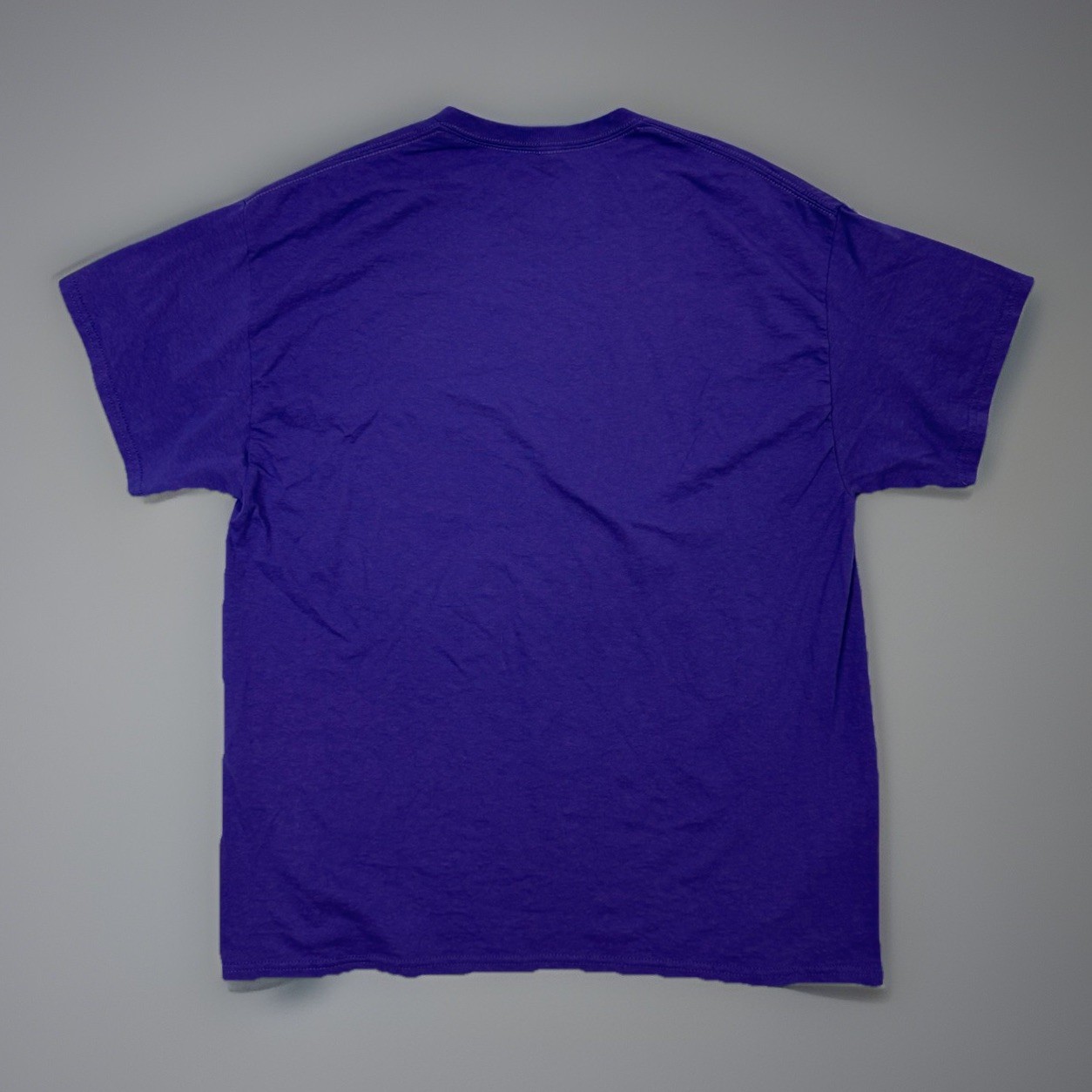 Spencer’s Olivia Rodrigo Guts Graphic T-Shirt Men’s XL Heavyweight Cotton Purple