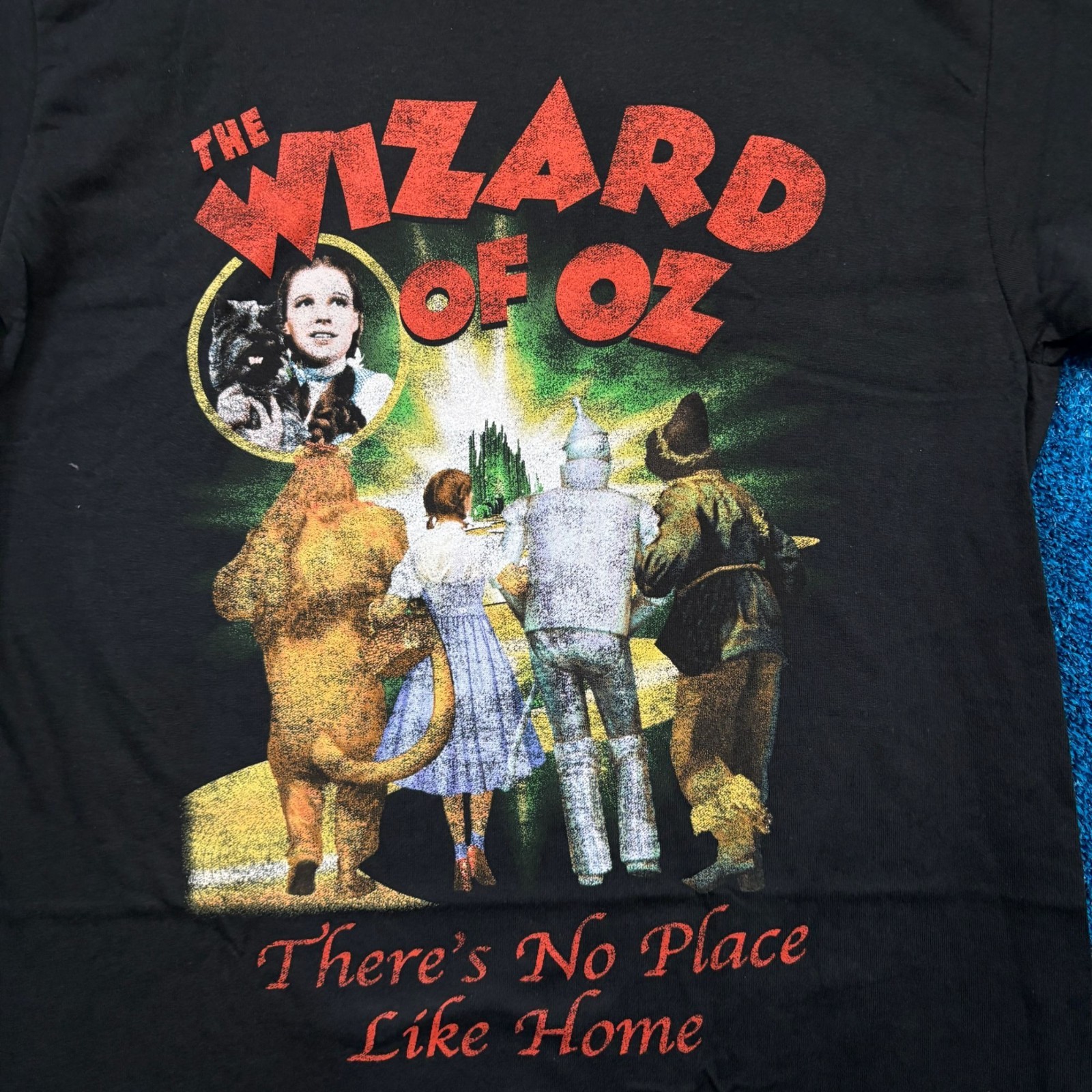 The Wizard of Oz Dorothy & Friends No Place Like Home Tee L