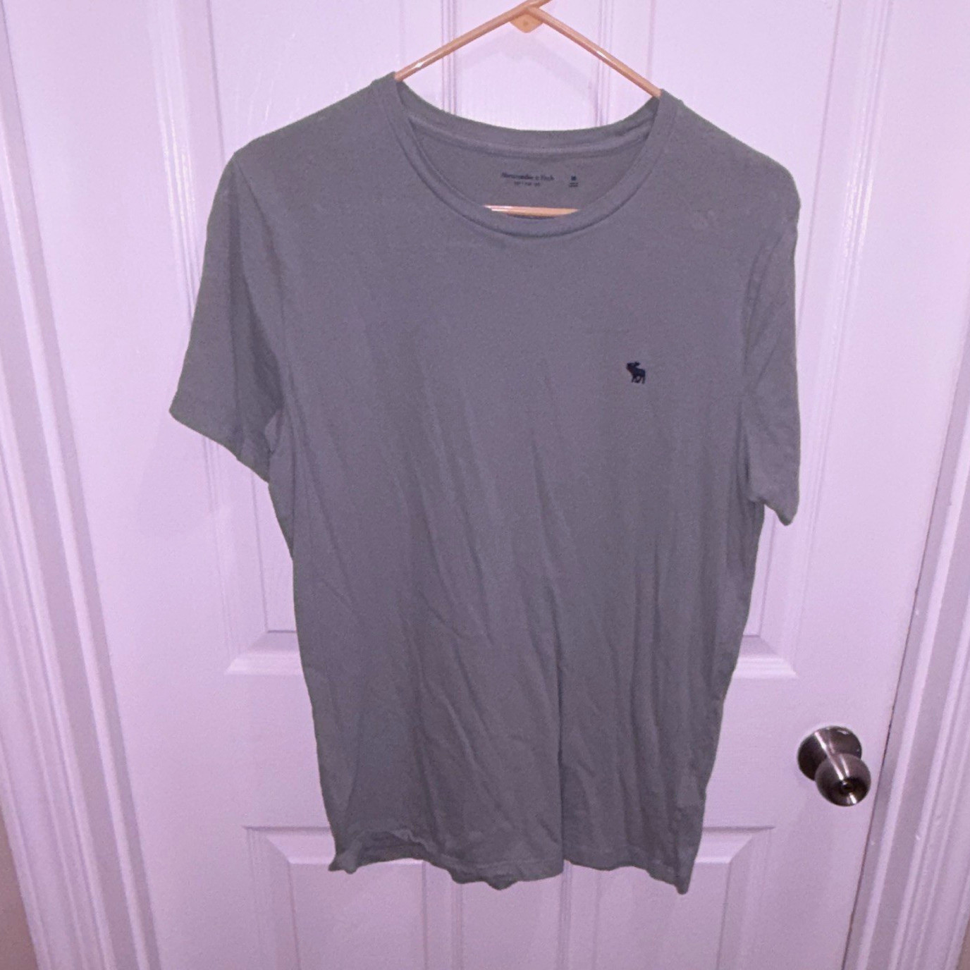 Abercrombie & Fitch Men’s M Gray Short Sleeve Crew Neck Cotton Logo Moose Tee