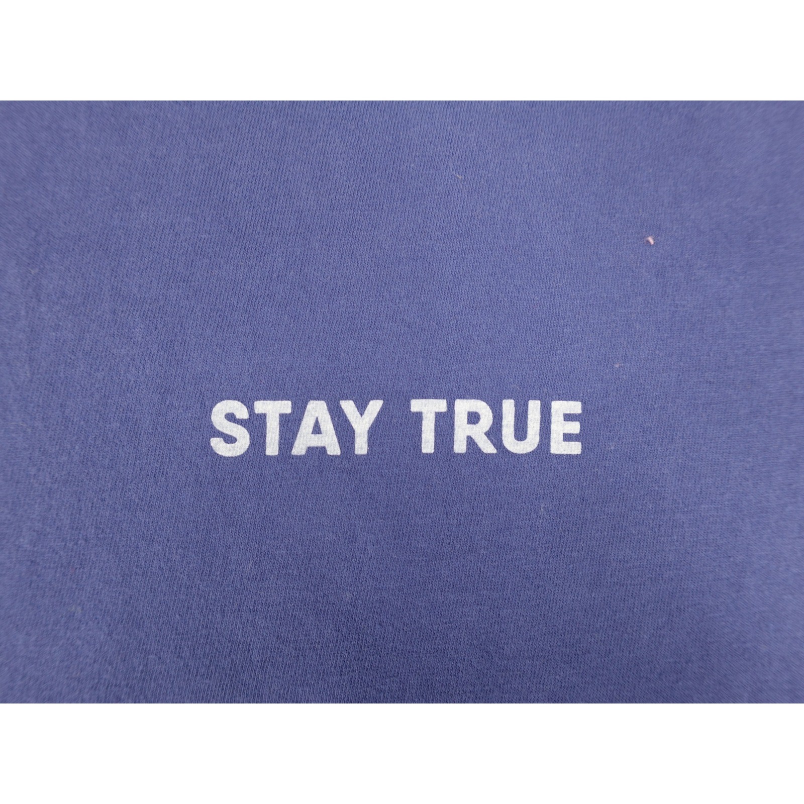 Comfort Colors Stay True Stand Firm Tee Mens Large Purple Good Christian Graphic
