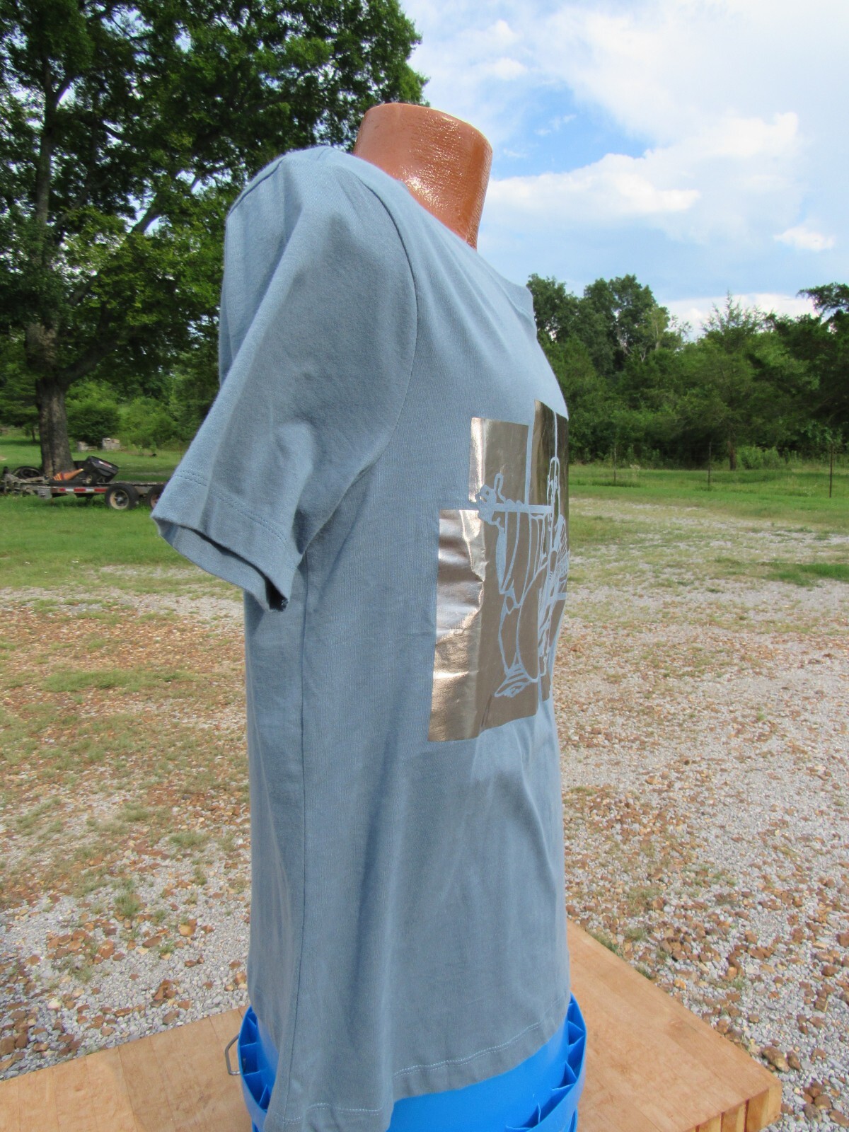 True Religion NWT Men’s Small Teal Gray Crew Neck Graphic T-Shirt Buddha New
