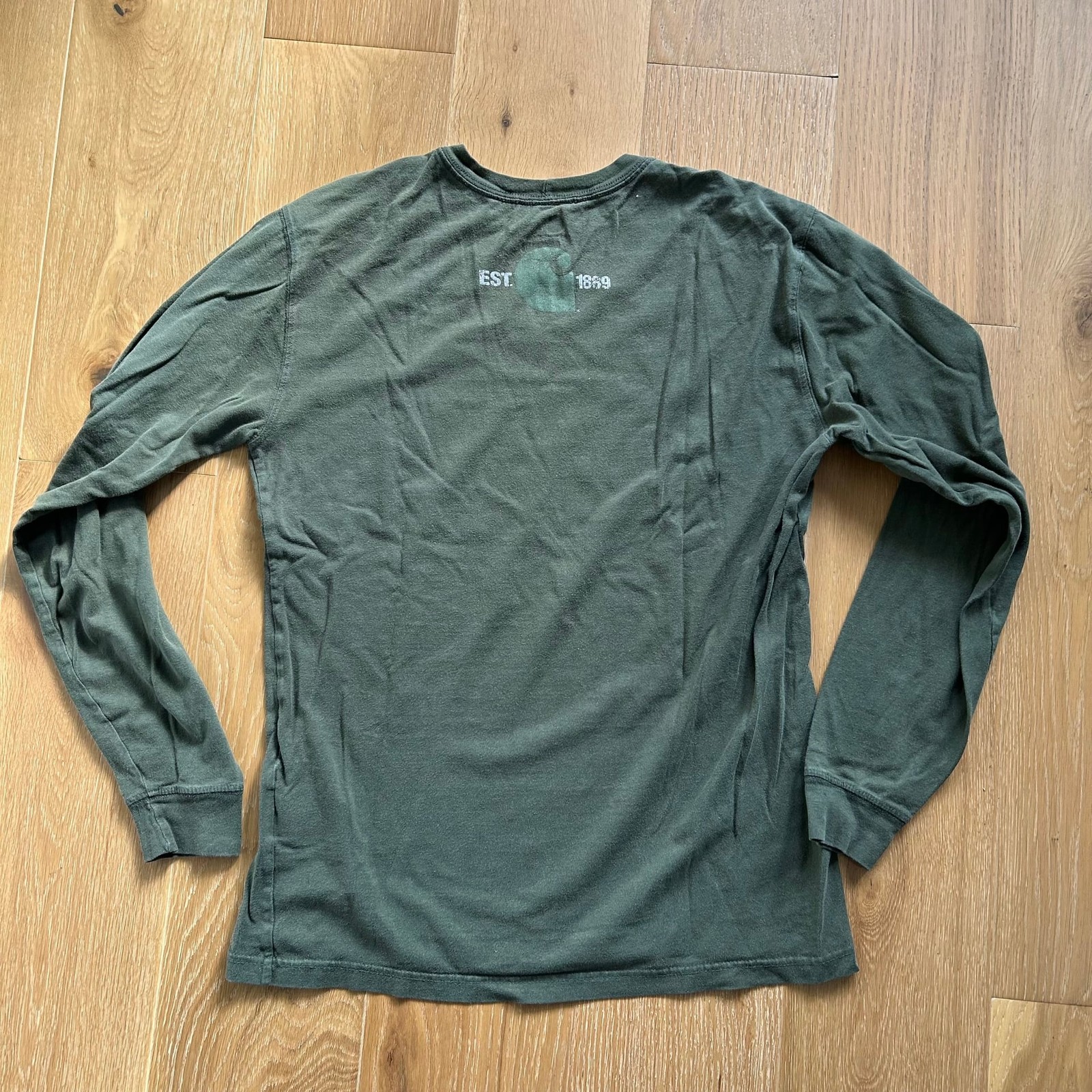 Carhartt Green Relaxed Fit Long-Sleeve Graphic T