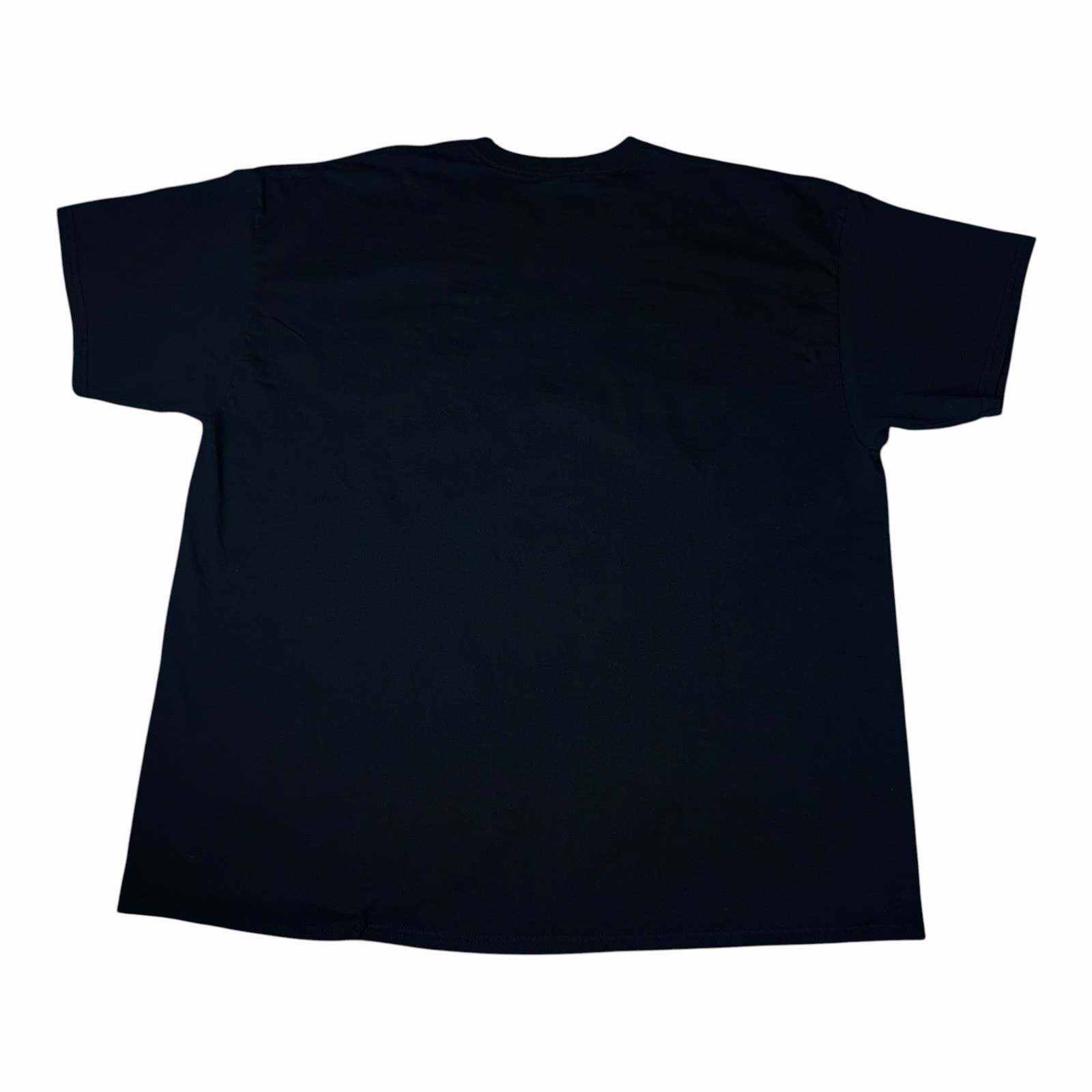 Y2K Proud & Brave USA American Tradition Graphic T-Shirt Black Adult Size 2XL