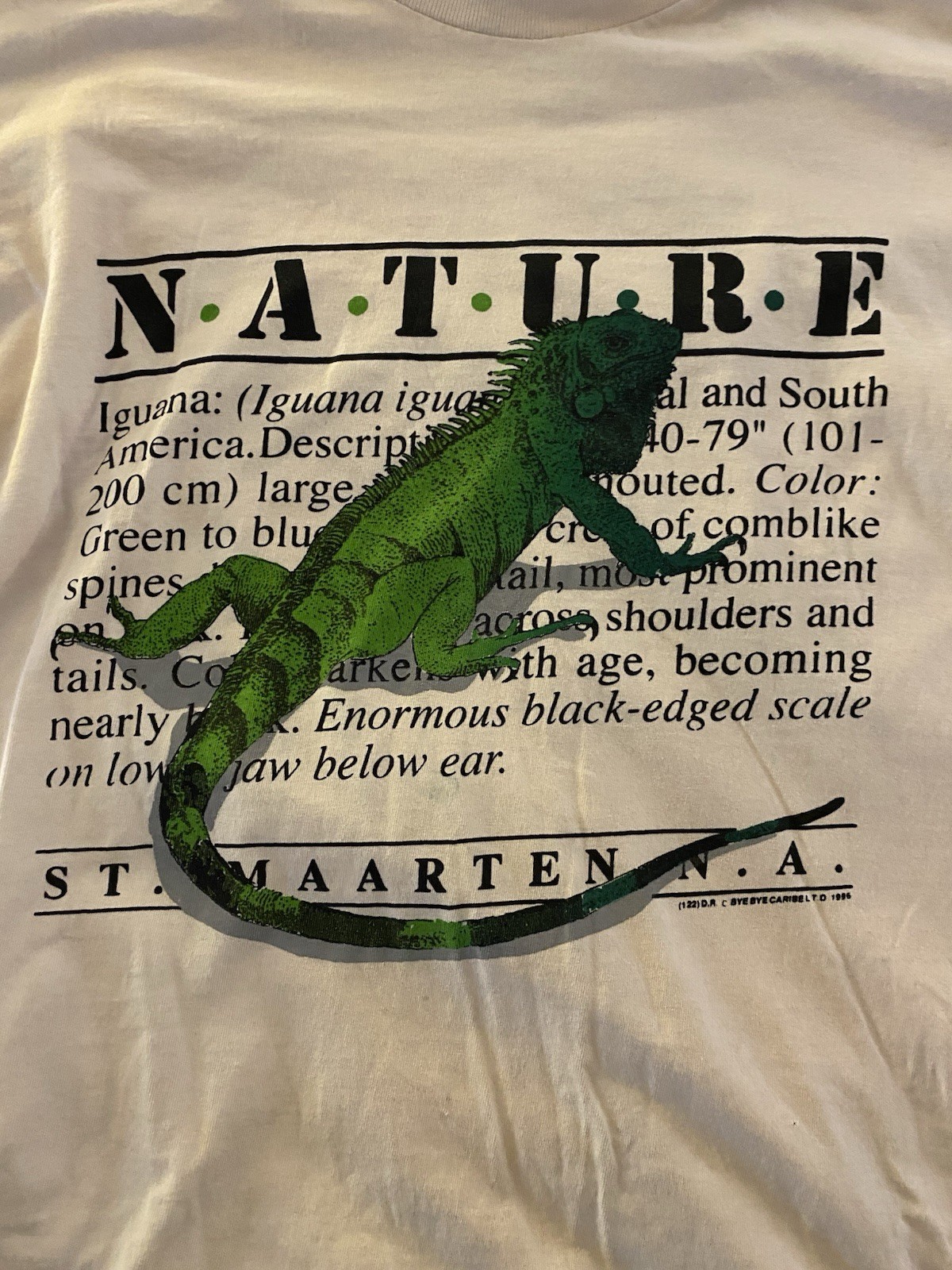 Bye-Bye 1996 Vintage Nature St. Maarten N.A. Iguana Graphic Light Pink T-shirt L