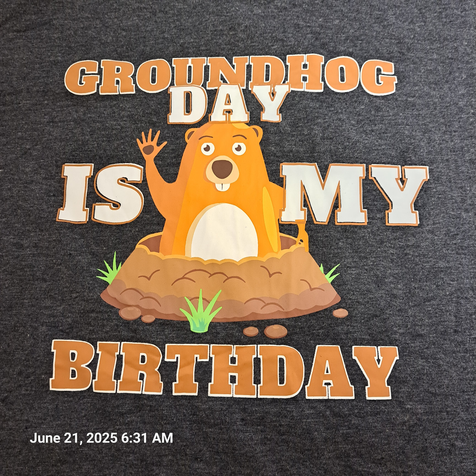 Groundhog Day is My Birthday T Shirt 2X Feb 2 graphics dark gray NEW