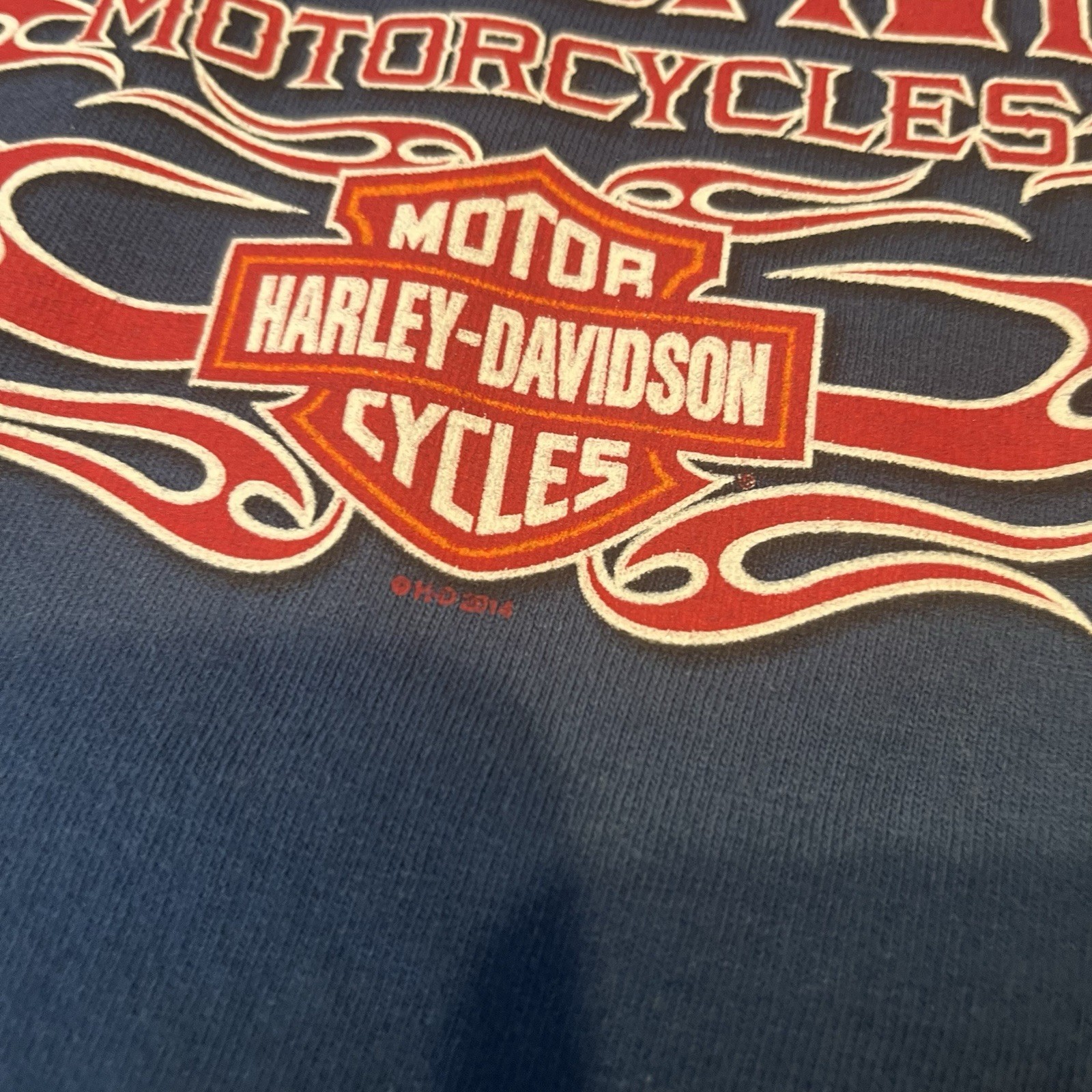 Harley Davidson Large Blue Long Sleeve Graphic T Shirt Kansas City Flames Clean