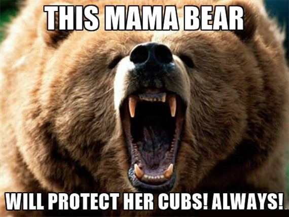 Mama Bear T Shirt Mothers Day Mom Life Baby Shower Maternity Reveal Gift Tee