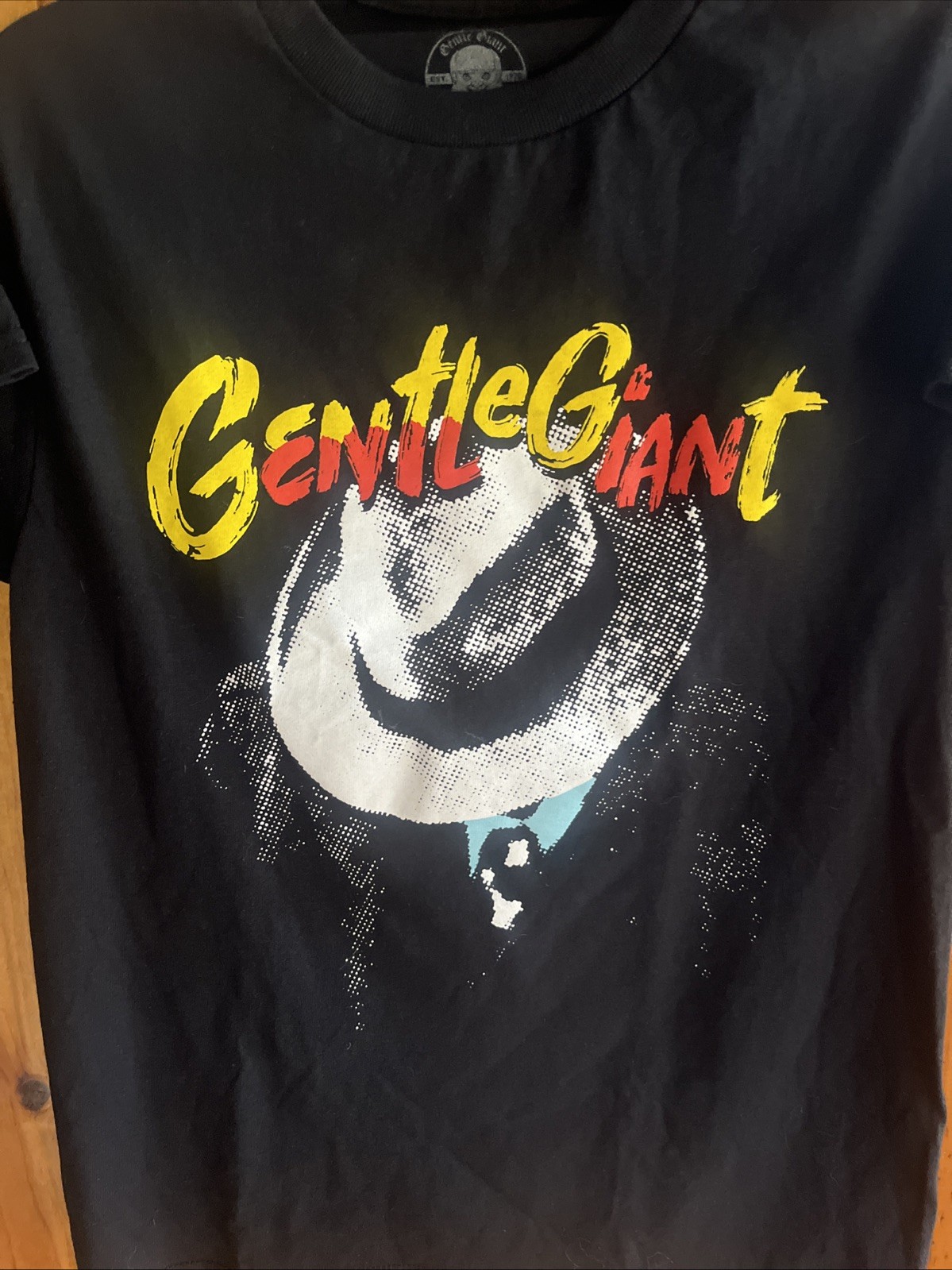 AUTHENTIC Gentle Giant Official Merch – Black T Shirt – CITIZEN ALBUM – Size S