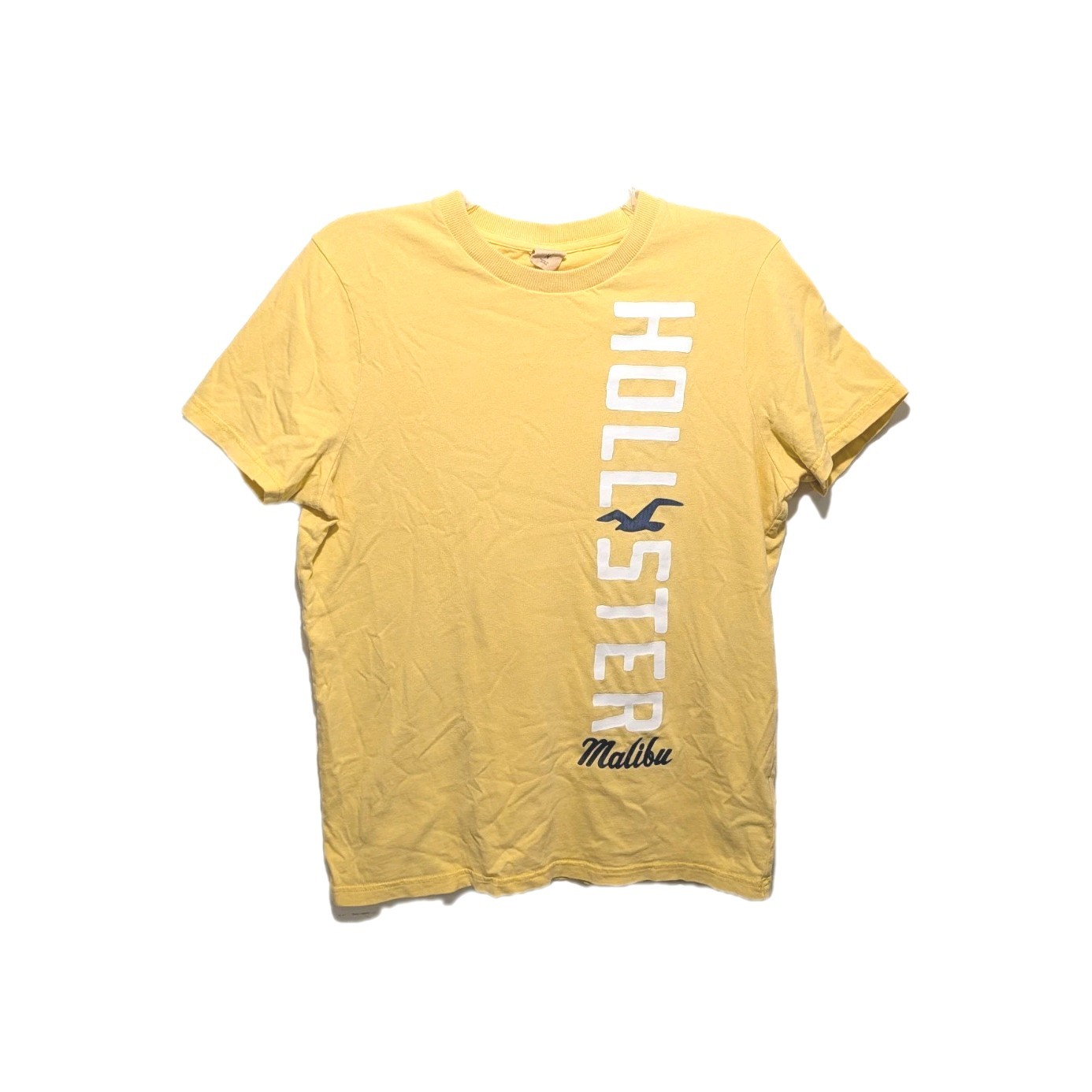 Hollister California Malibu T Shirt Mens M 90s Y2K Grunge Beachy Skater #7777