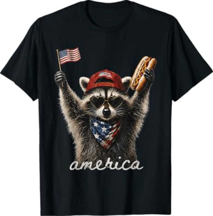 America Meme Raccoon Hot Dog 250 Years 1776 2026 4th of July T-Shirt
