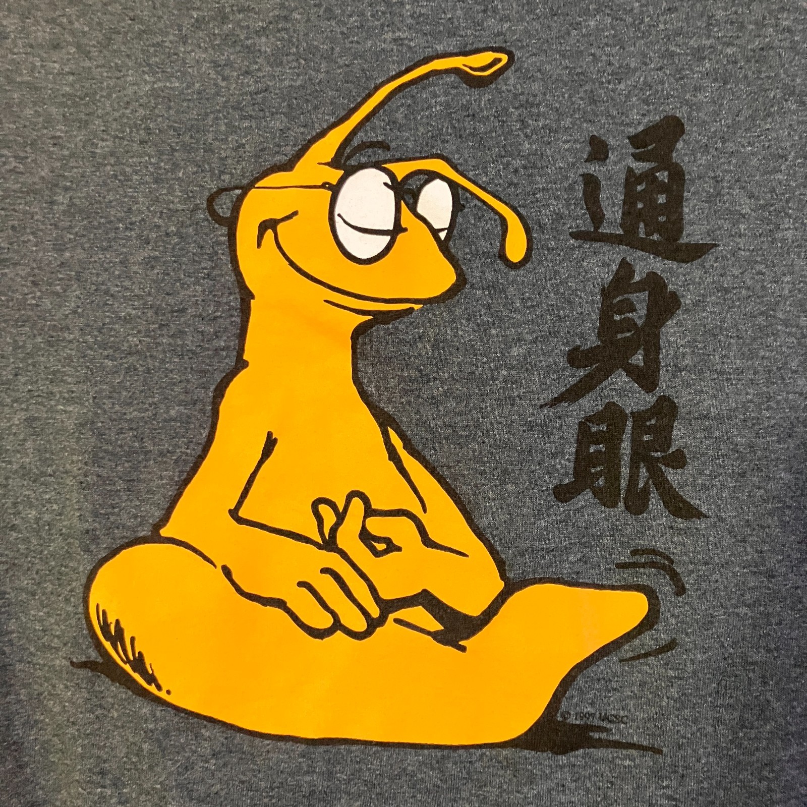 Gildan Mens Vintage 1997 UC Santa Cruz Zen Banana Slug Shirt Small Blue SP EXC