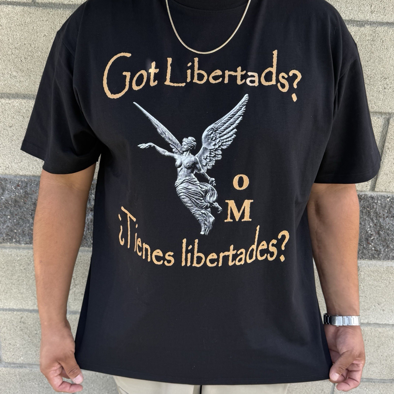 Got Libertads? Mexican Silver Libertad Coin Collector T-Shirt S-2XL