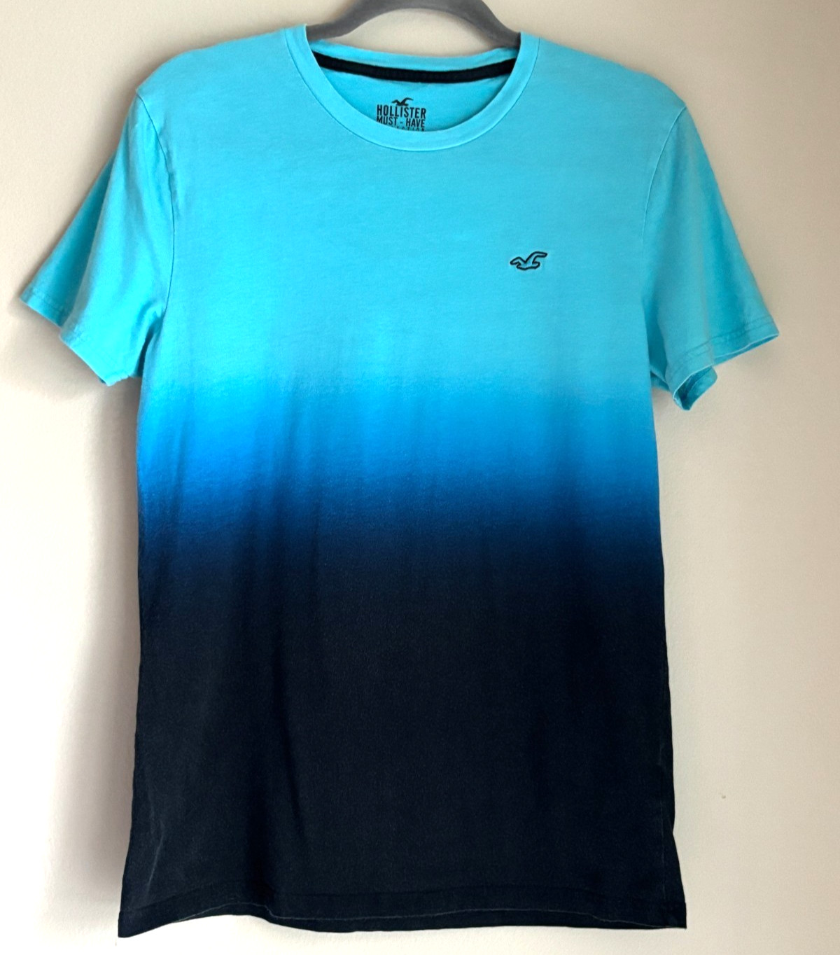 Hollister Must-Have Collection Ombre Tee Shirt Adult Medium Embroidered Logo