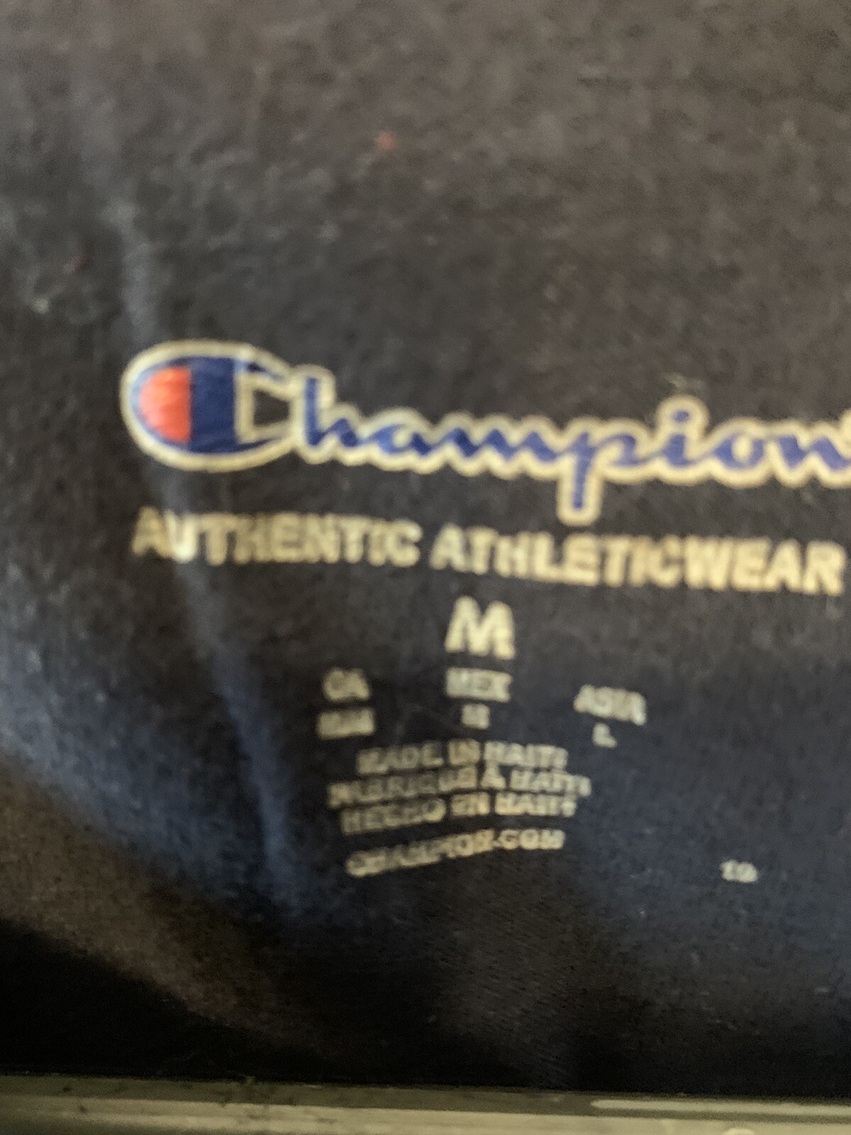 Champion T425 Shirt Adult Medium Blue Logo Casual Outdoors Camping Mens