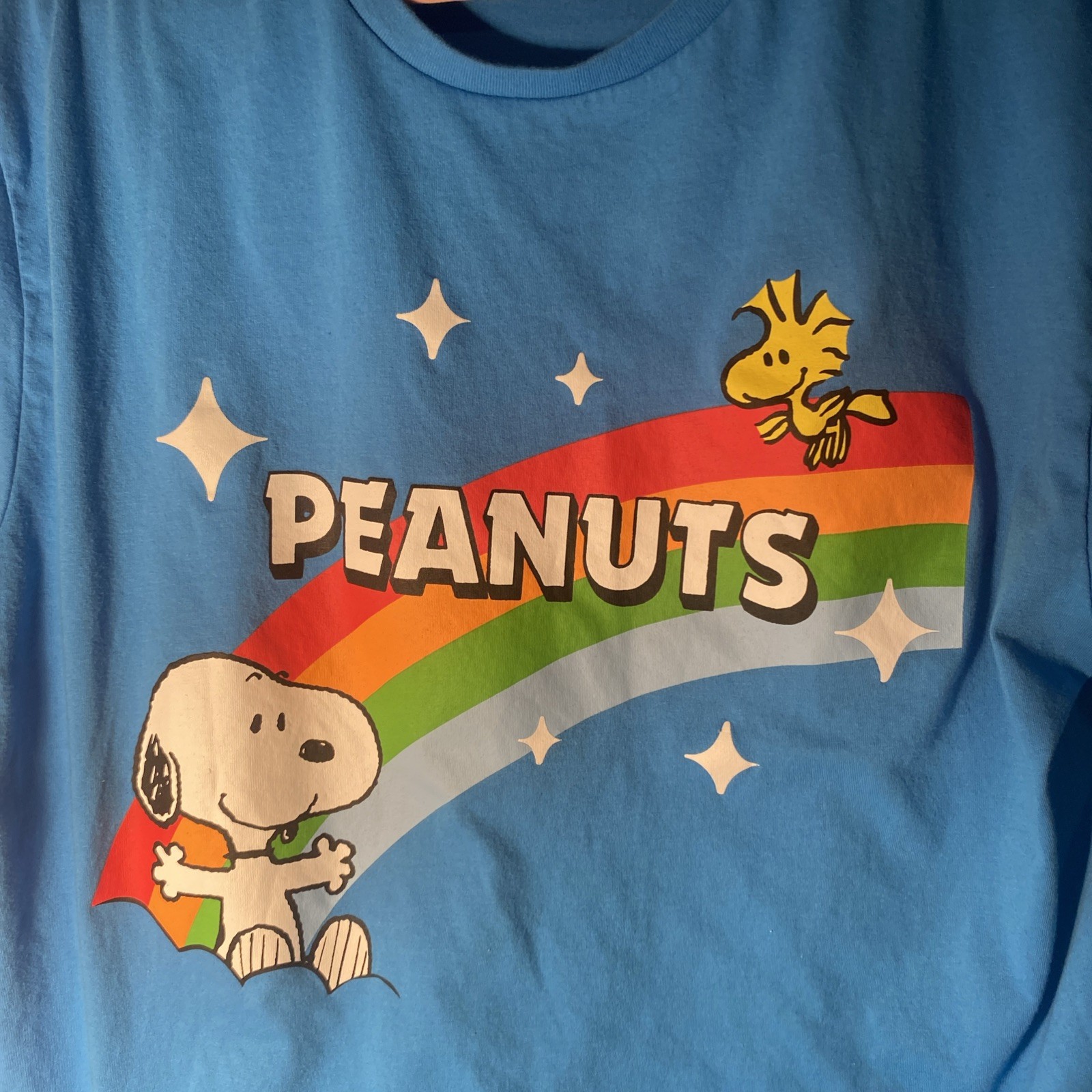 Mens Peanuts Snoopy and Woodstock Blue T Shirt XL Rainbow Graphic Cartoon #G120