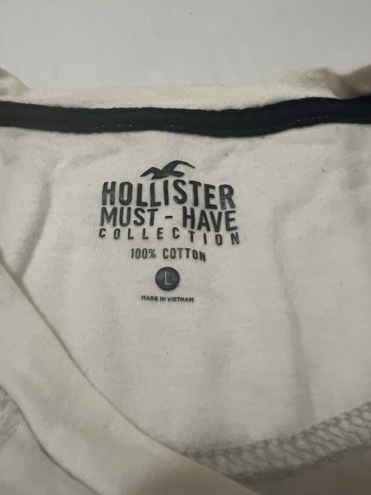 (2) LOT Hollister Must Have Collection Shirt Large Colorblock Script Spellout
