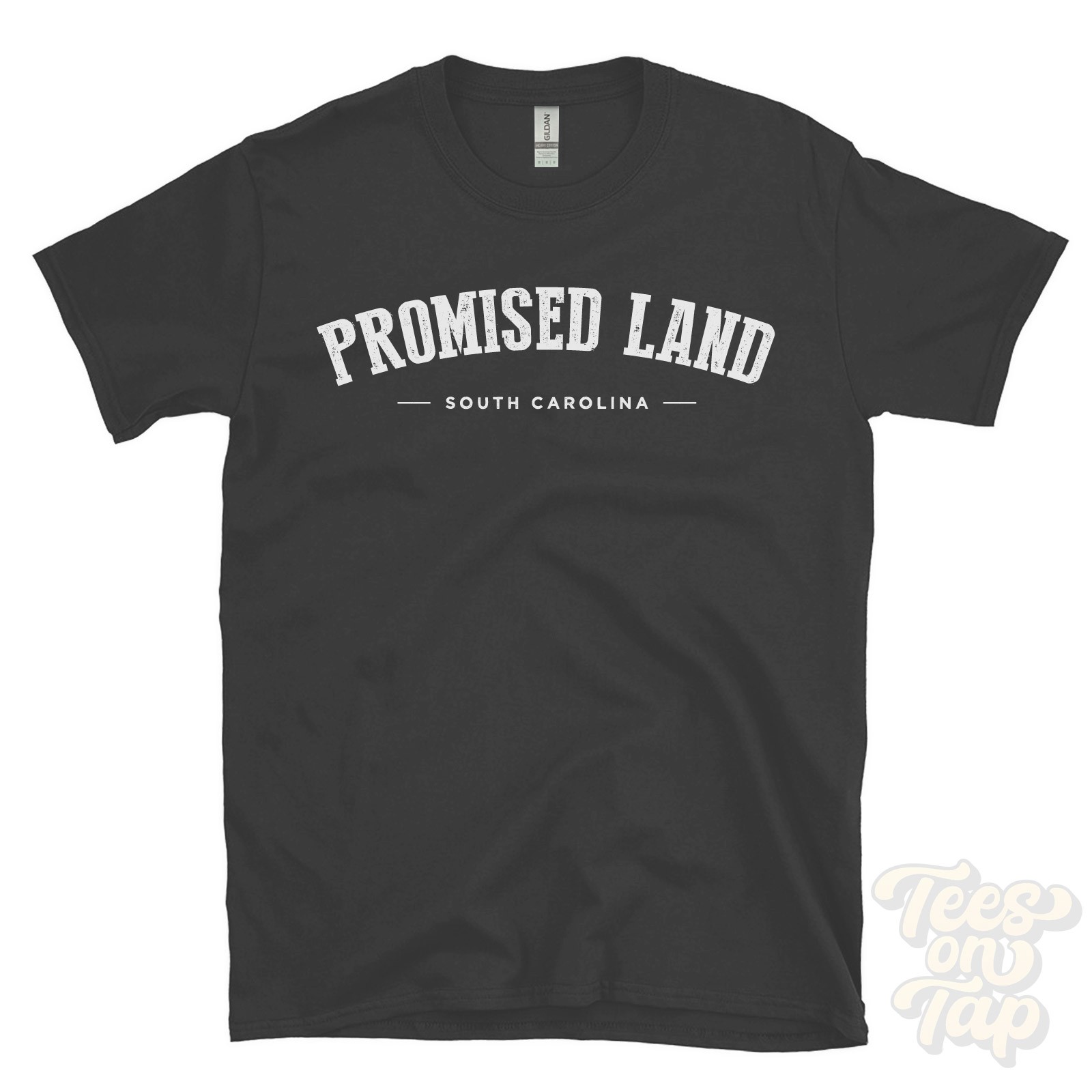 PROMISED LAND SOUTH CAROLINA T-SHIRT Greenwood Greenwood USA retro varsity gift