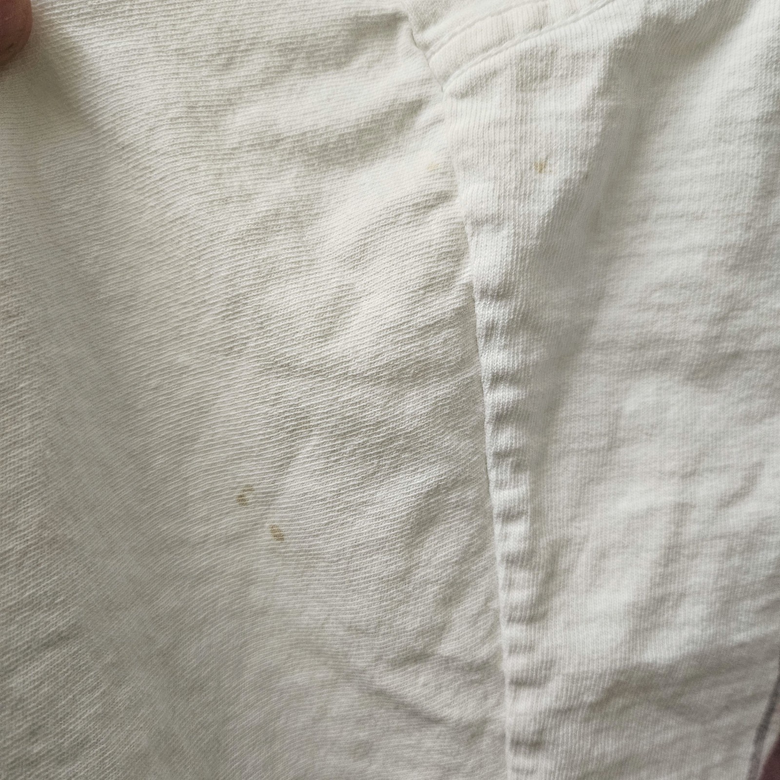 Online Ceramics Seed Graphic T Shirt M