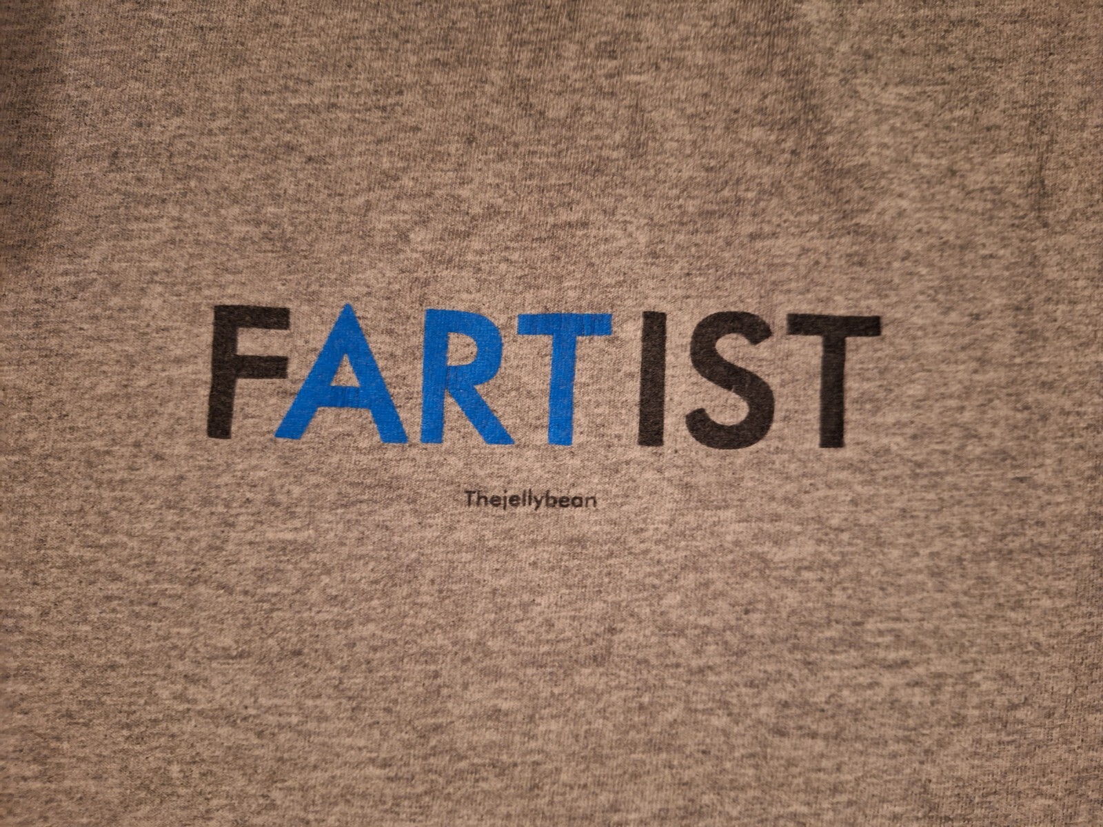 Gildan Ultra Cotton – Grey Artist Fartist 90% Cotton 10% Poly Tshirt Size Small